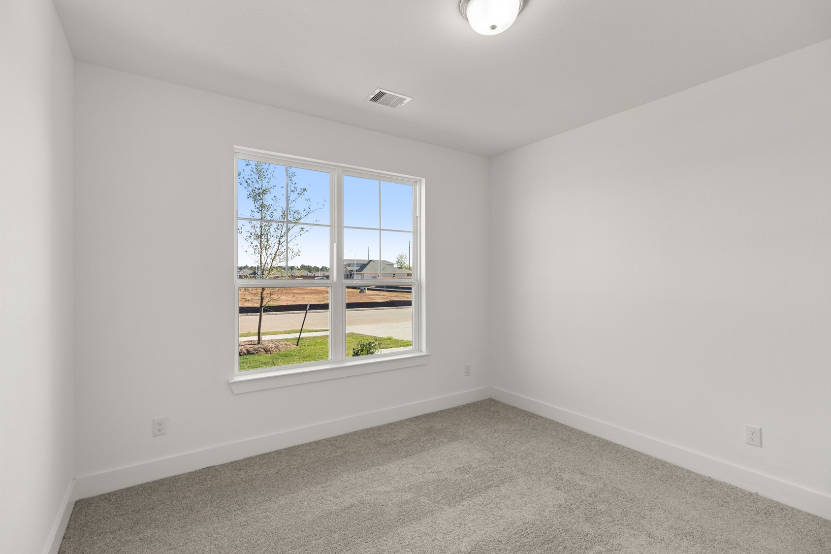 2811 Beebalm Flower Property Photo 19