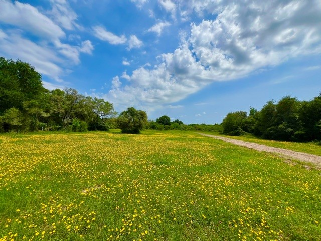 0 Nursery Road Property Photo