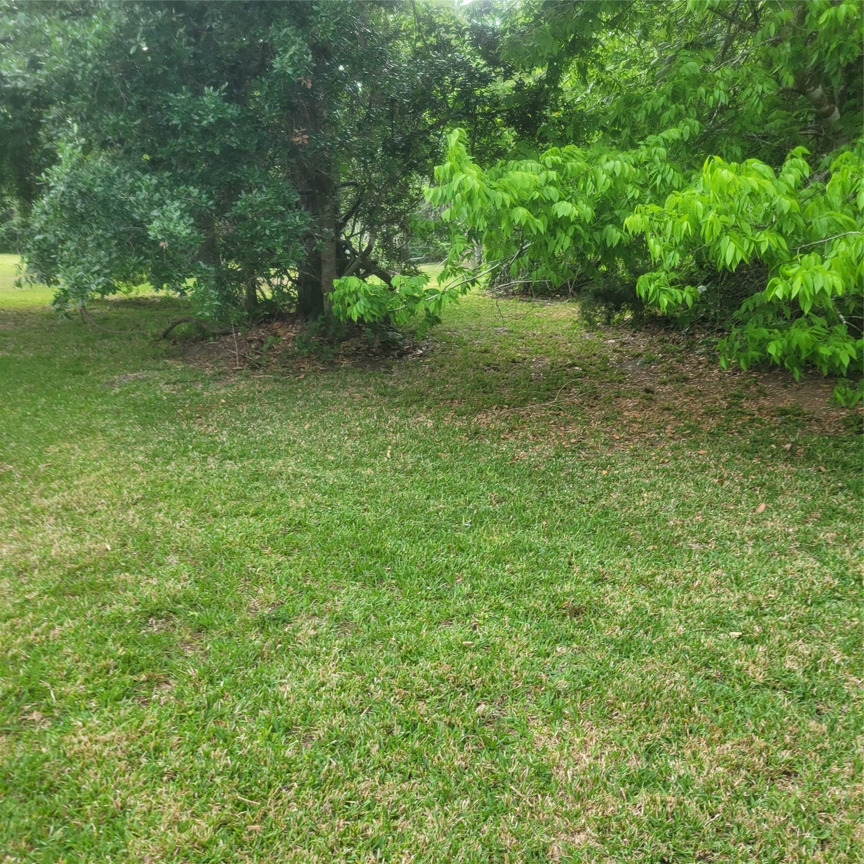 6100 Avenue U Street Property Photo 4