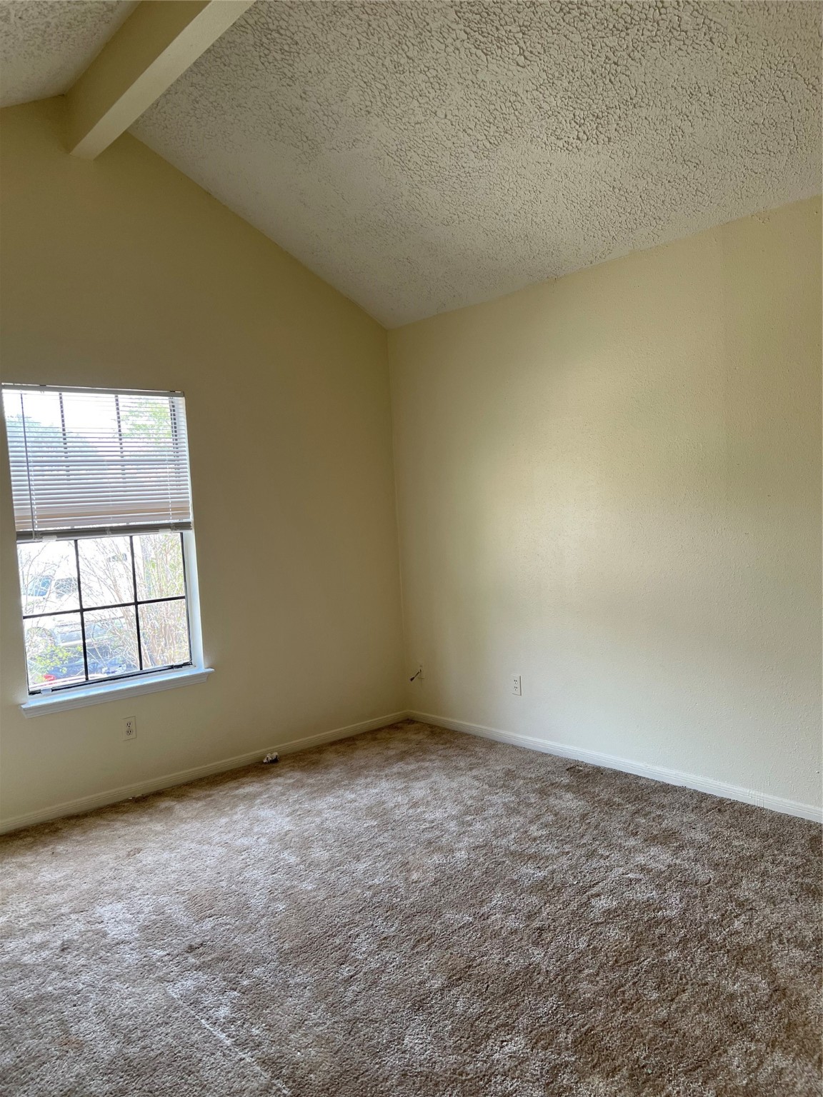9711 Pine Pass Drive A Property Photo 10