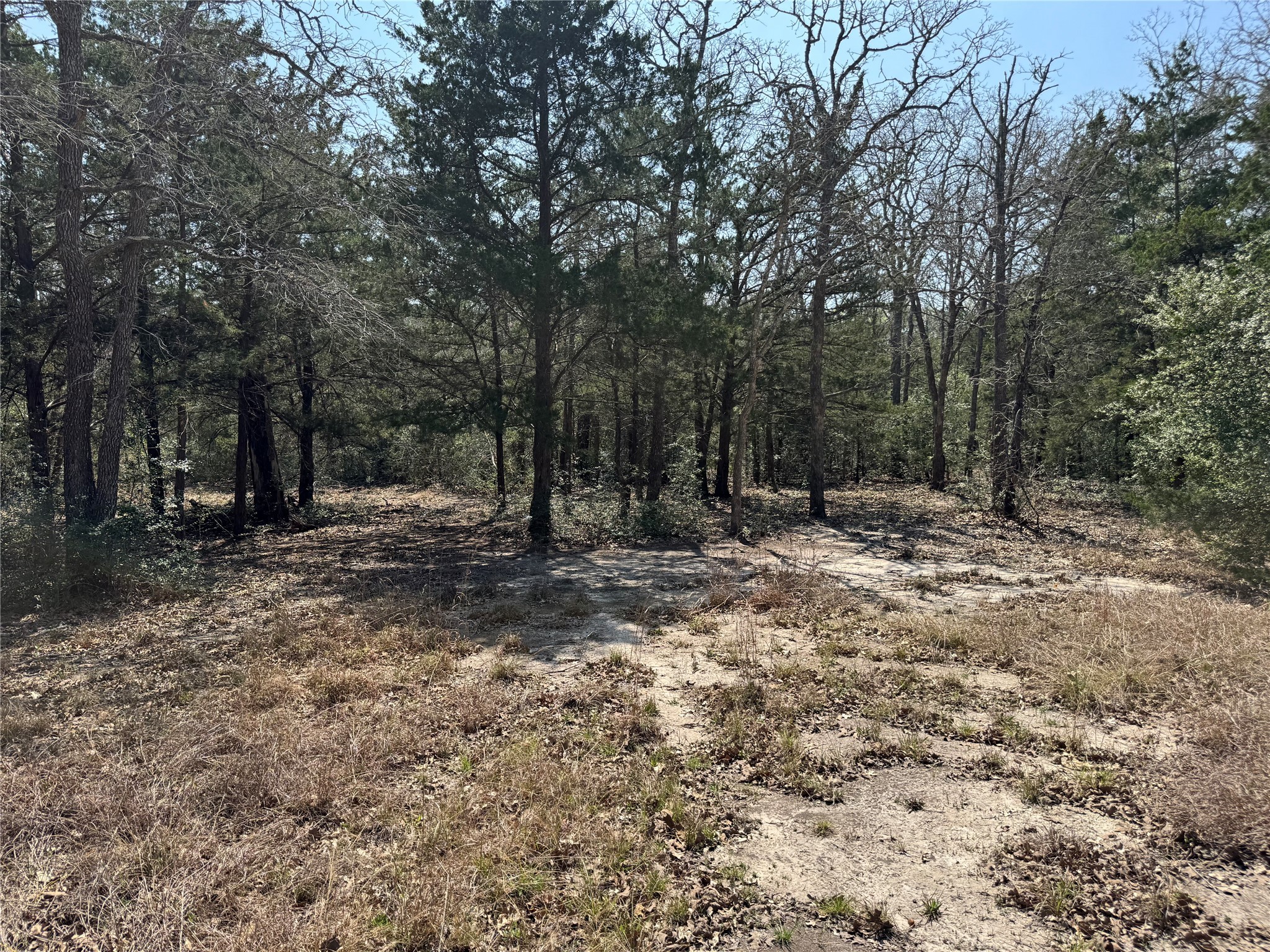 232 Wooded Trail Property Photo