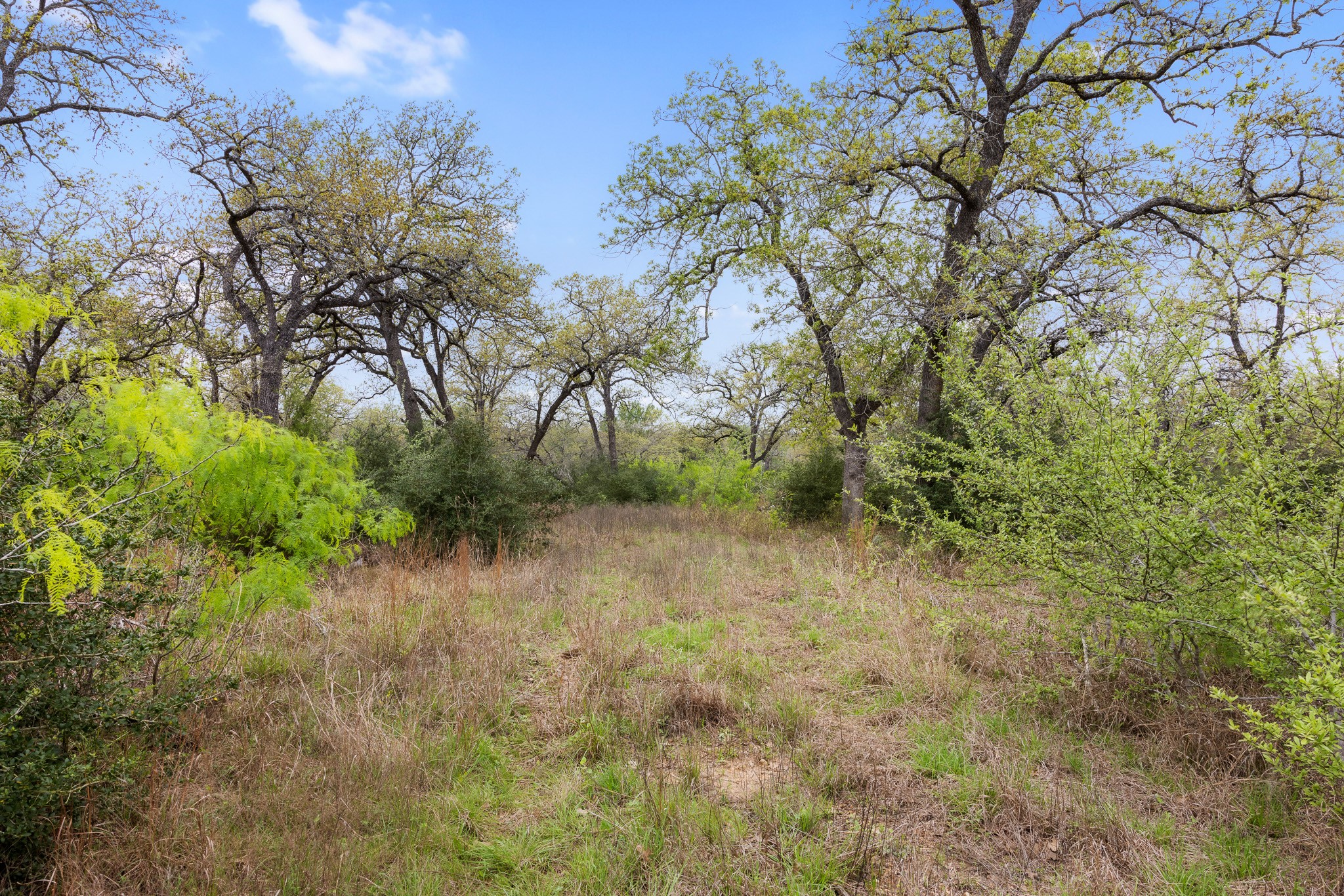 1605 Lariet Drive Property Photo