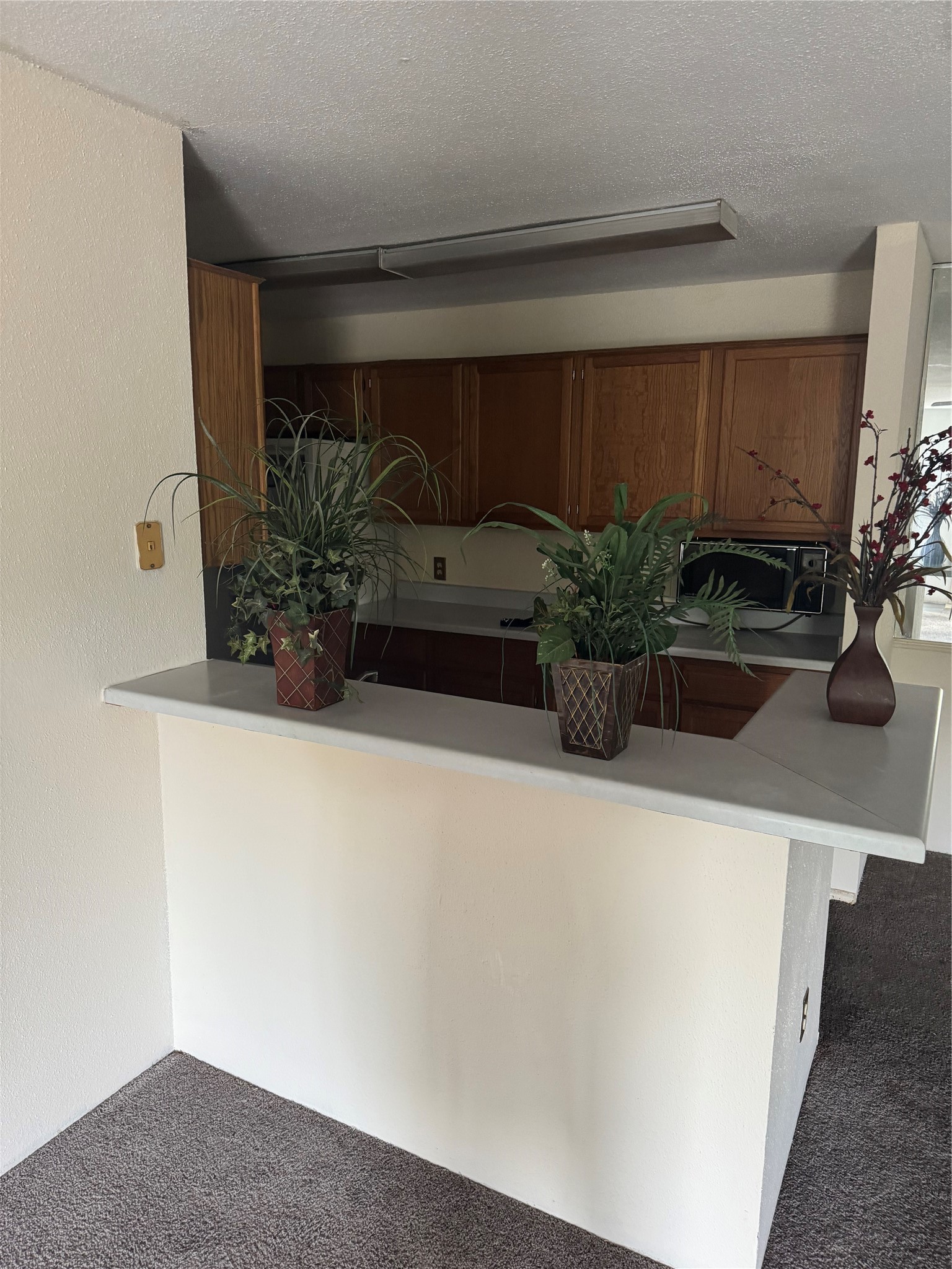 10821 Braes Bend Drive Property Photo 6