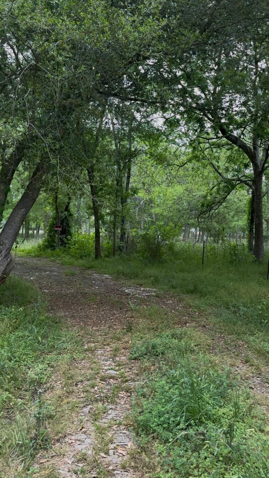 5825 Hand Road Property Photo