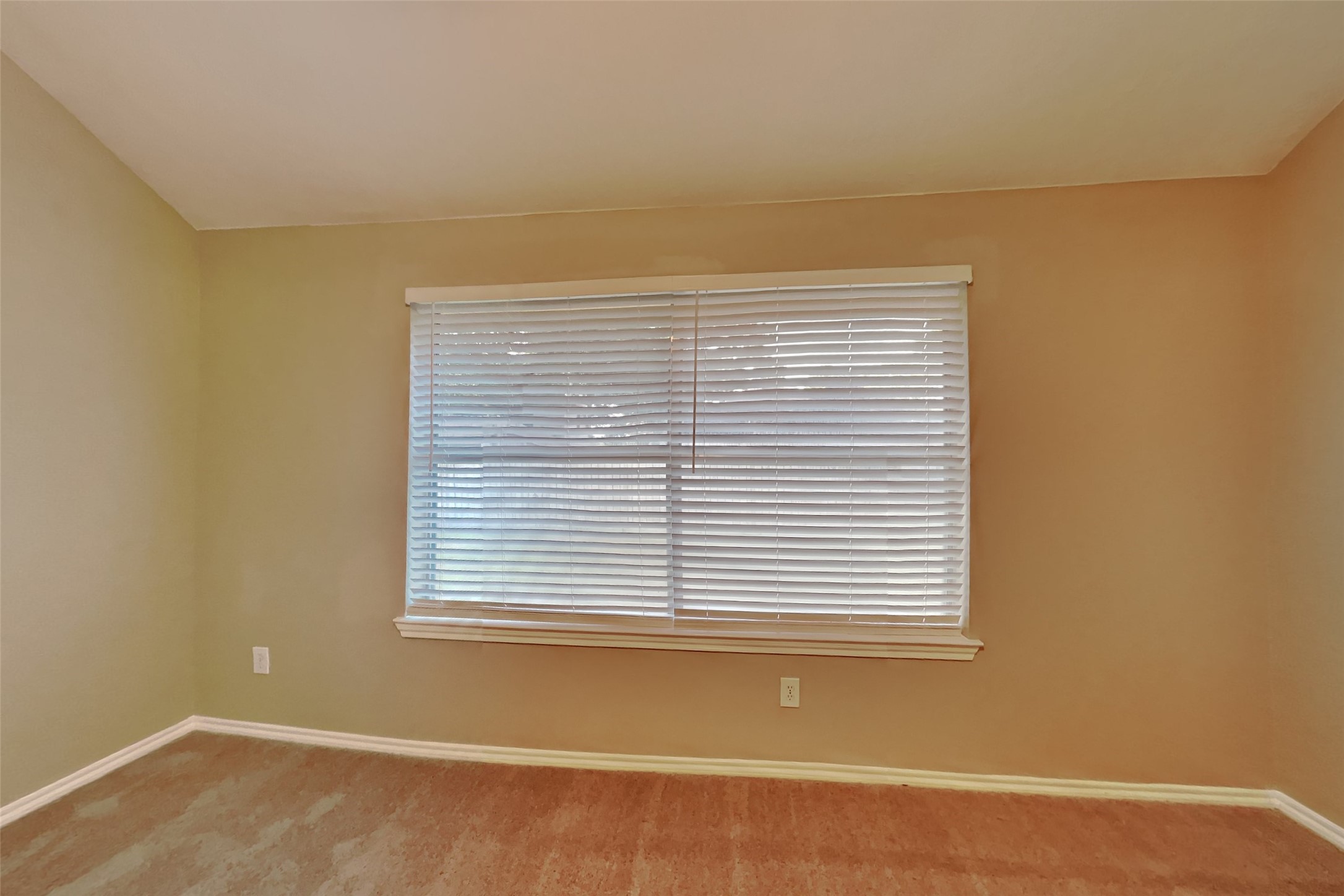 16442 Redbud Berry Lane Property Photo 6