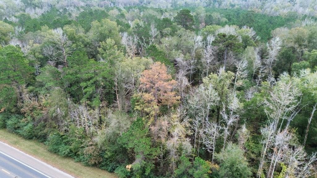 11948 Highway 190 E Property Photo 2