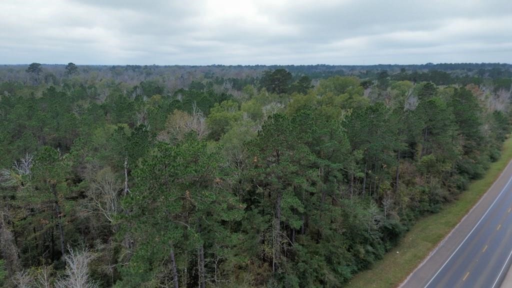 11948 Highway 190 E Property Photo 6