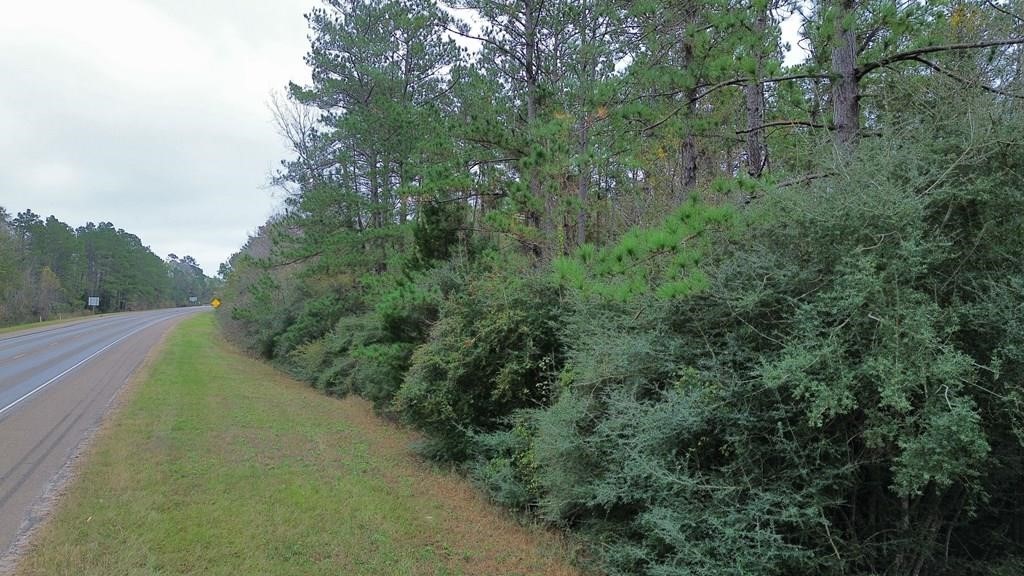 11948 Highway 190 E Property Photo 8