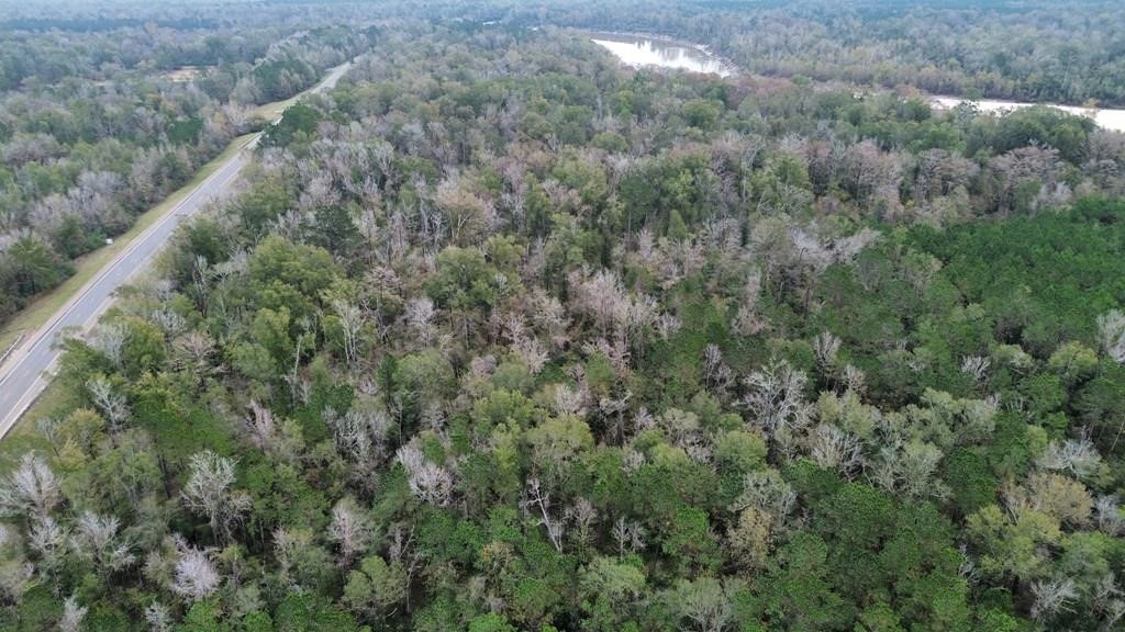 11948 Highway 190 E Property Photo 11