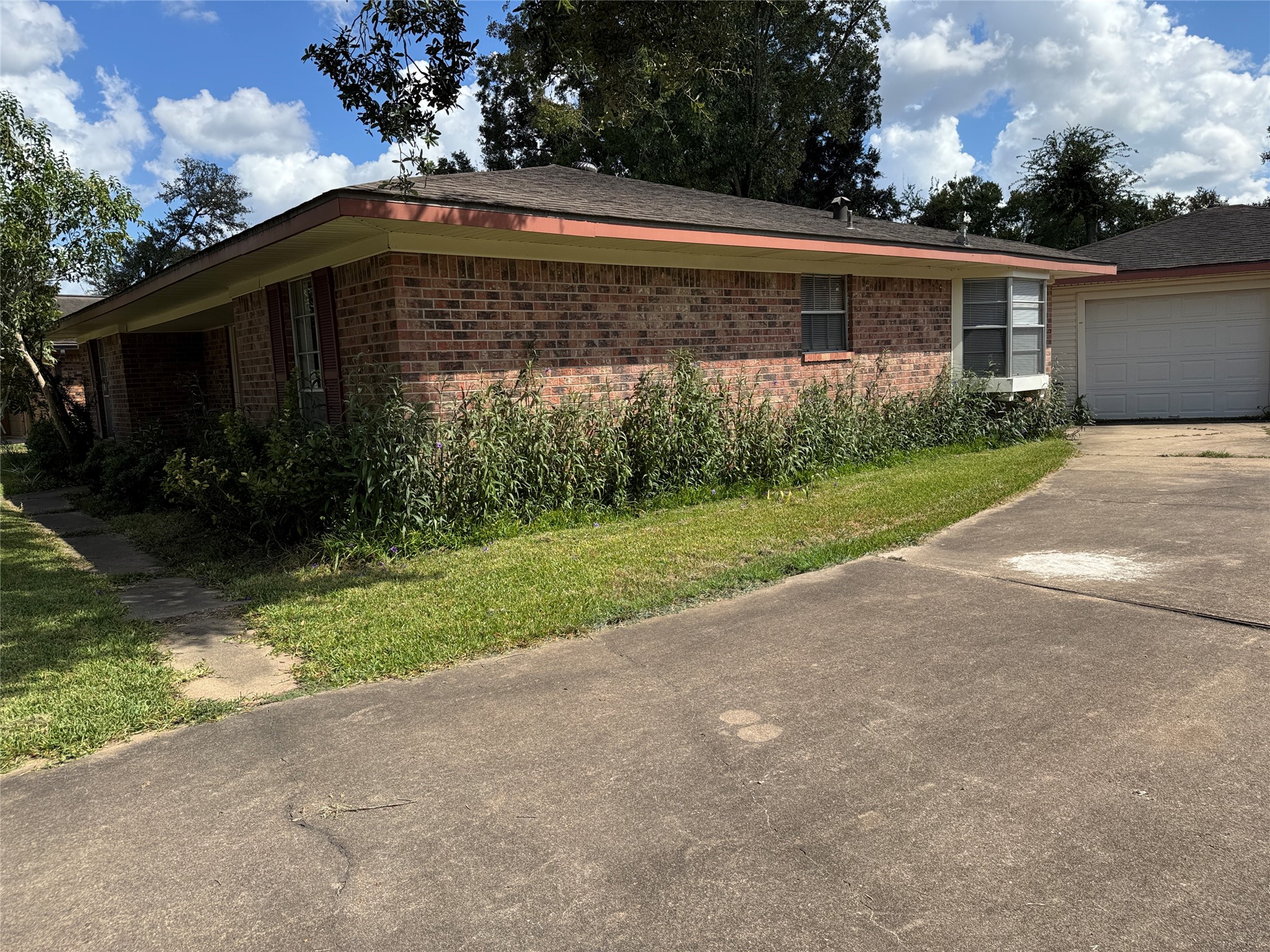 1801 Mulberry Drive Property Photo 4