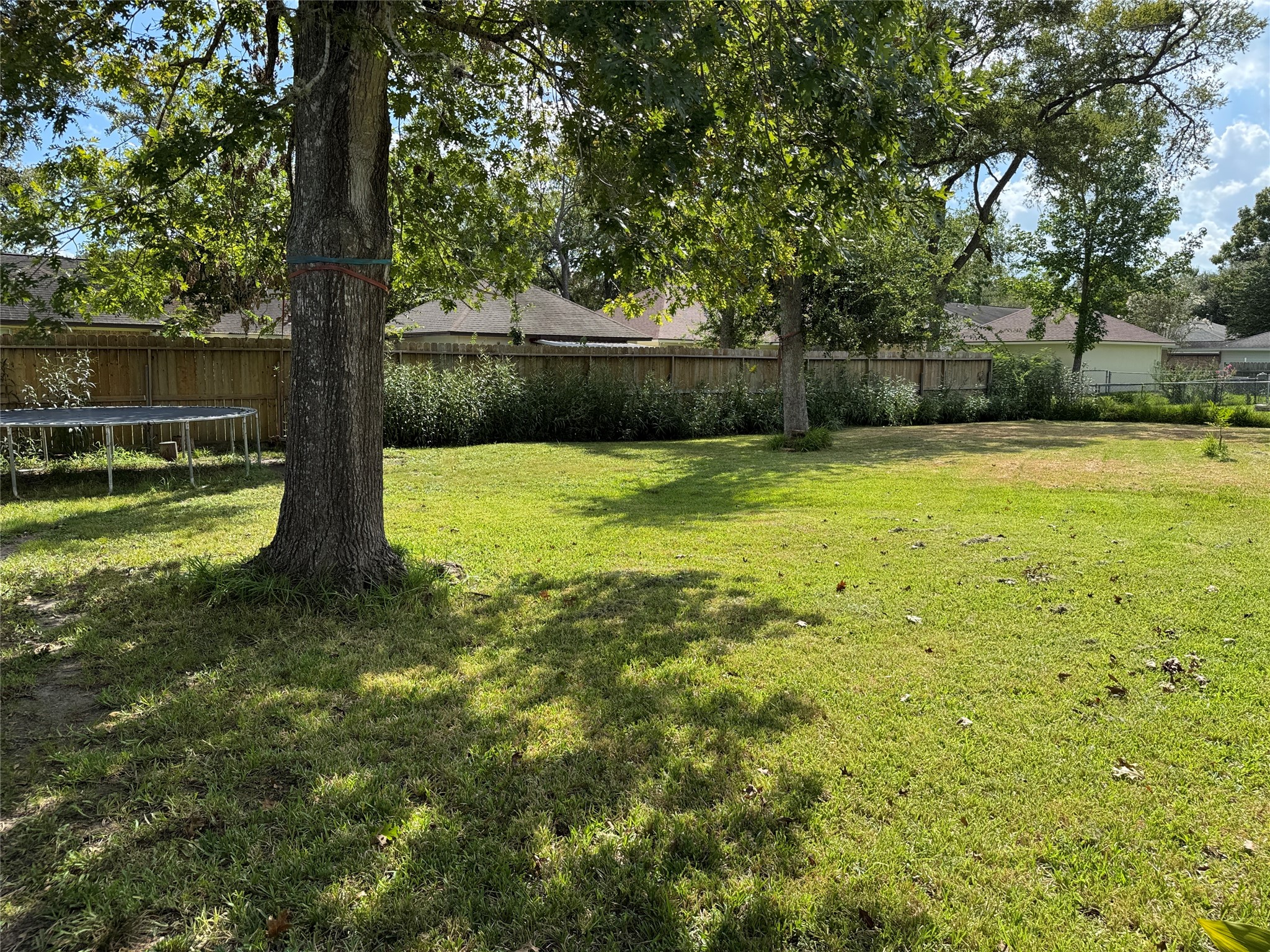 1801 Mulberry Drive Property Photo 19