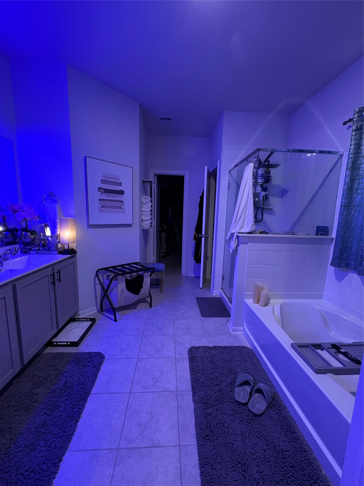 2418 Palisade Crest Drive Property Photo 7