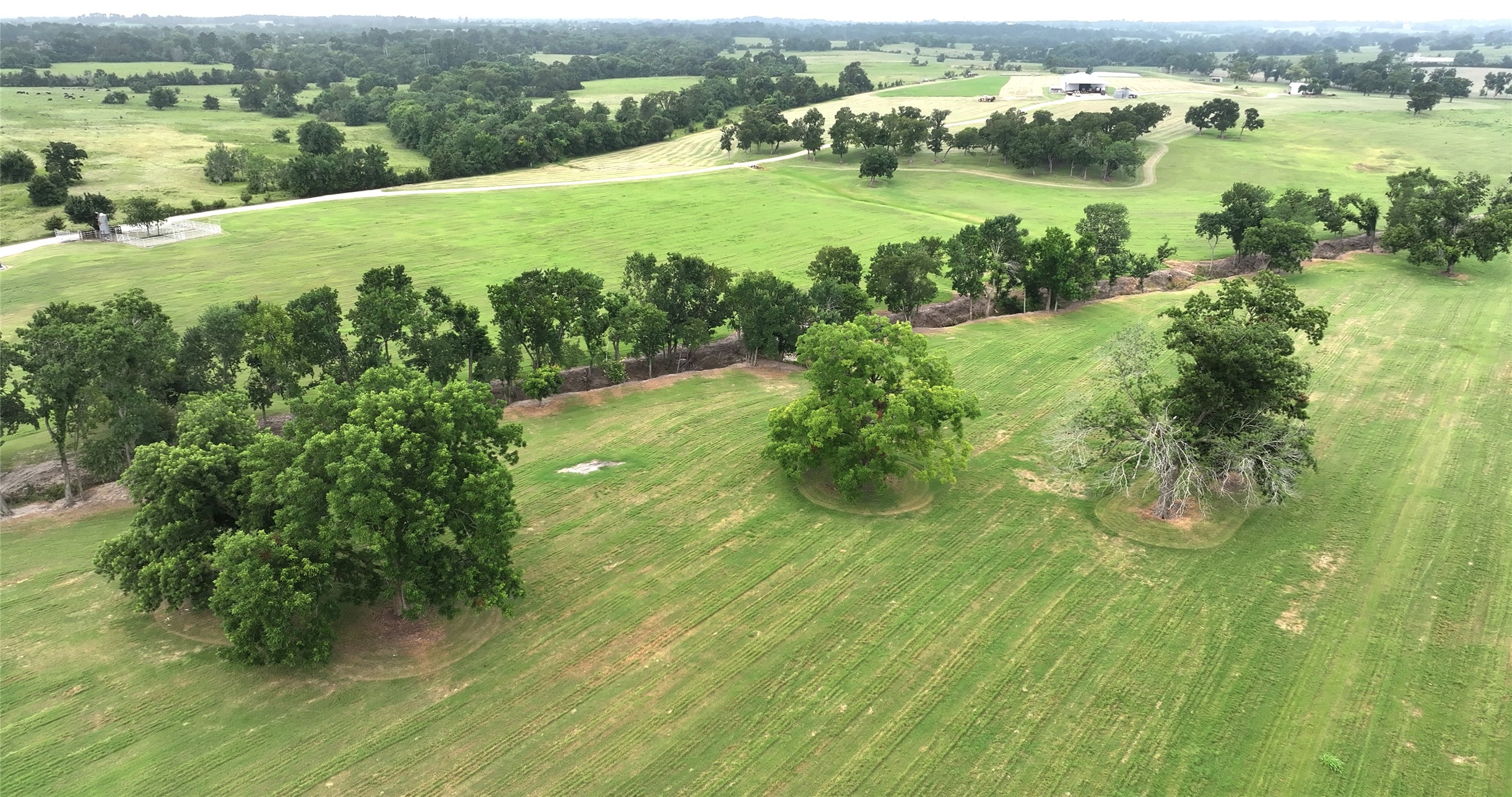 3285 Fm 2562 Road Property Photo 2