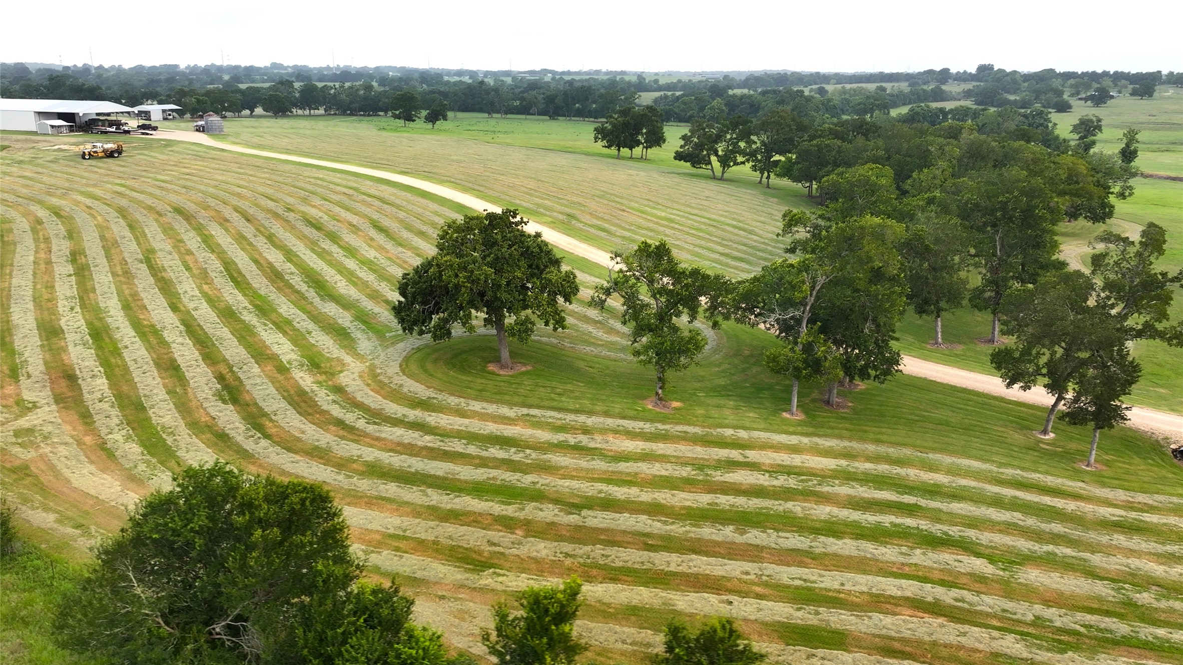 3285 Fm 2562 Road Property Photo 8