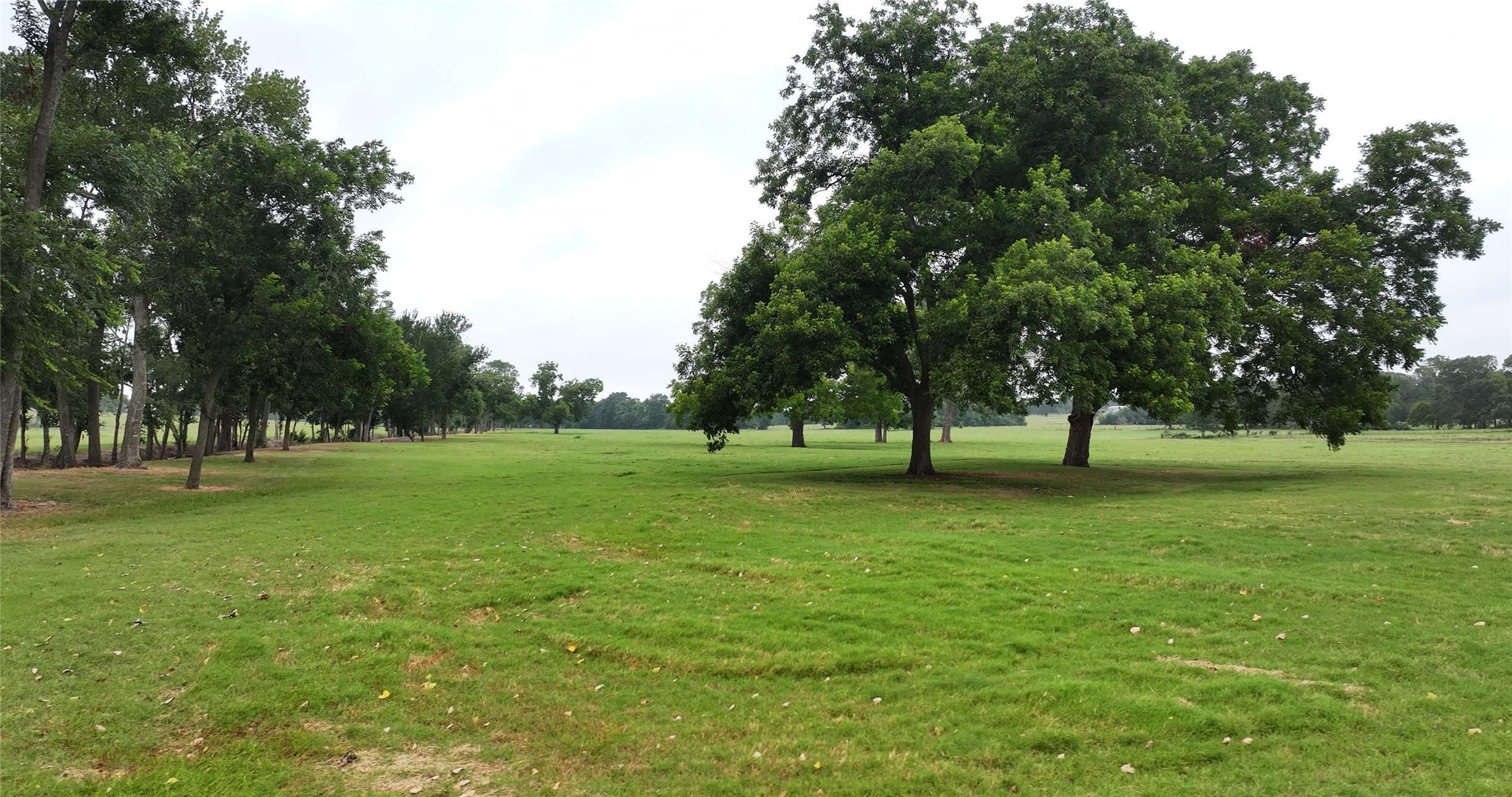 3285 Fm 2562 Road Property Photo 10