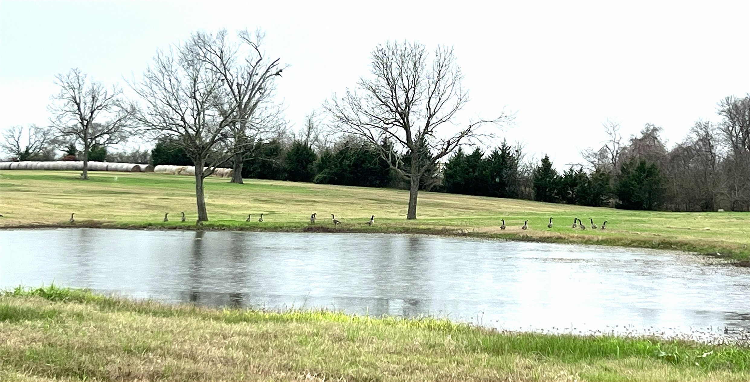 3285 Fm 2562 Road Property Photo 15