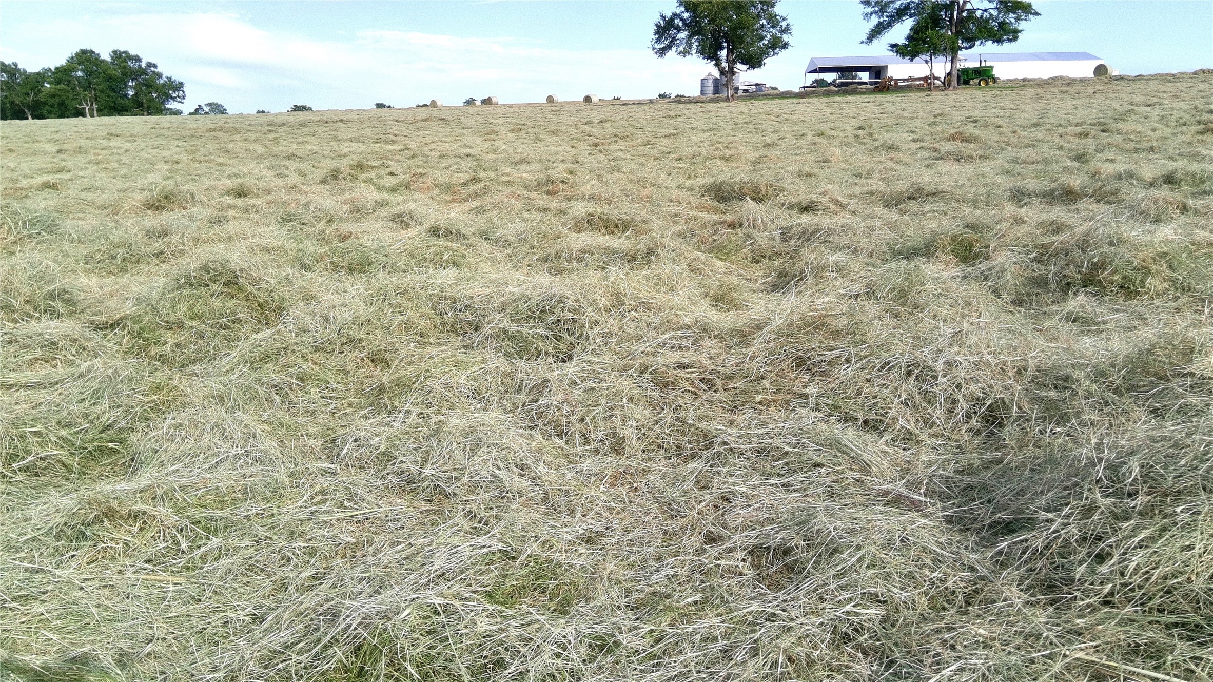 3285 Fm 2562 Road Property Photo 25