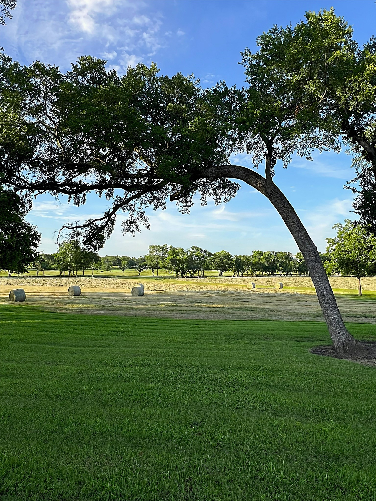 3285 Fm 2562 Road Property Photo 43