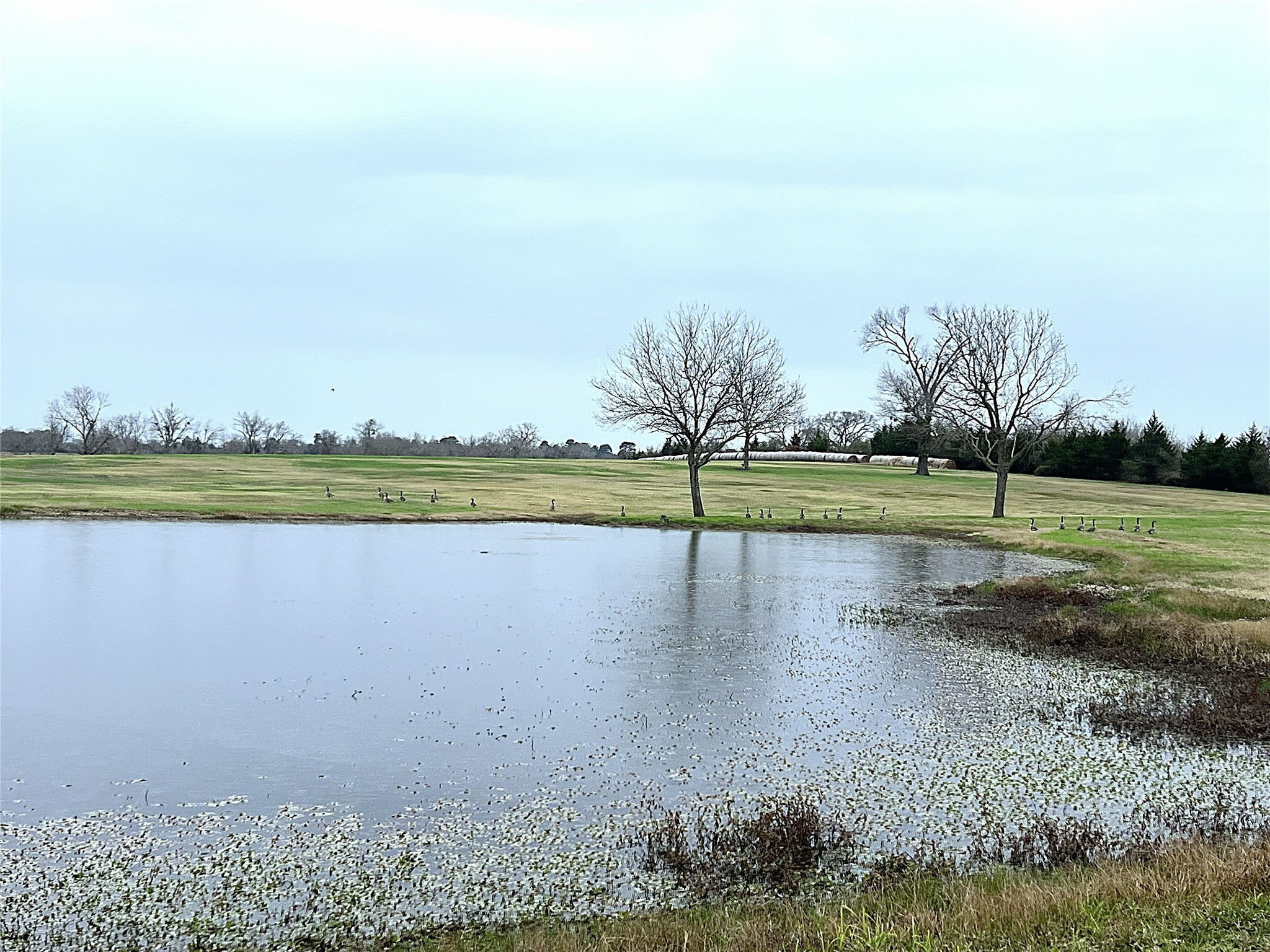3285 Fm 2562 Road Property Photo 44