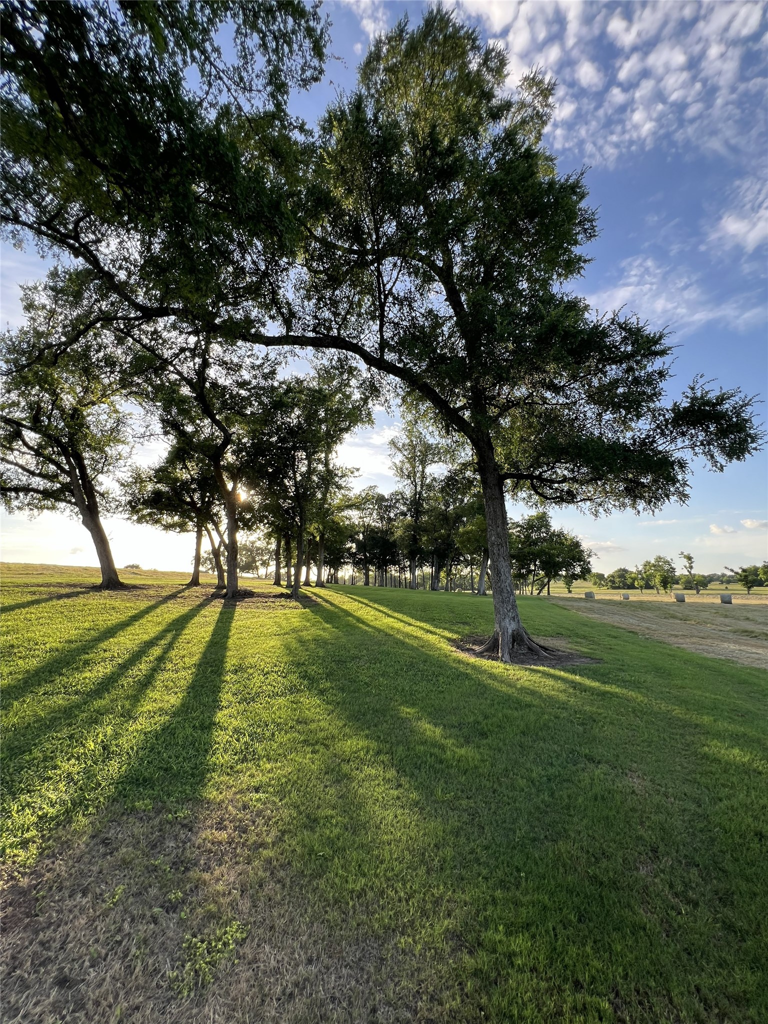 3285 Fm 2562 Road Property Photo 45