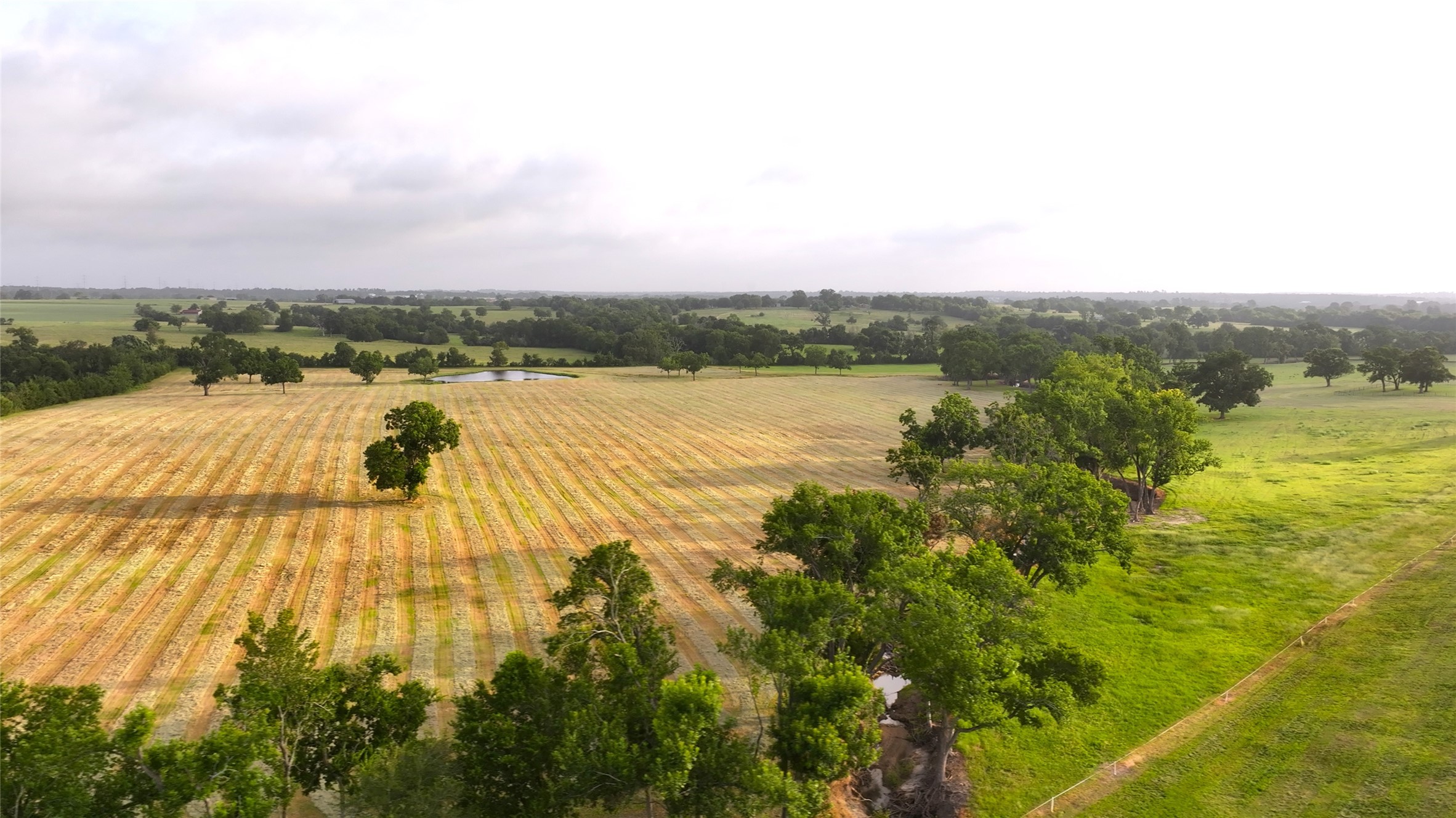 3285 Fm 2562 Road Property Photo 47