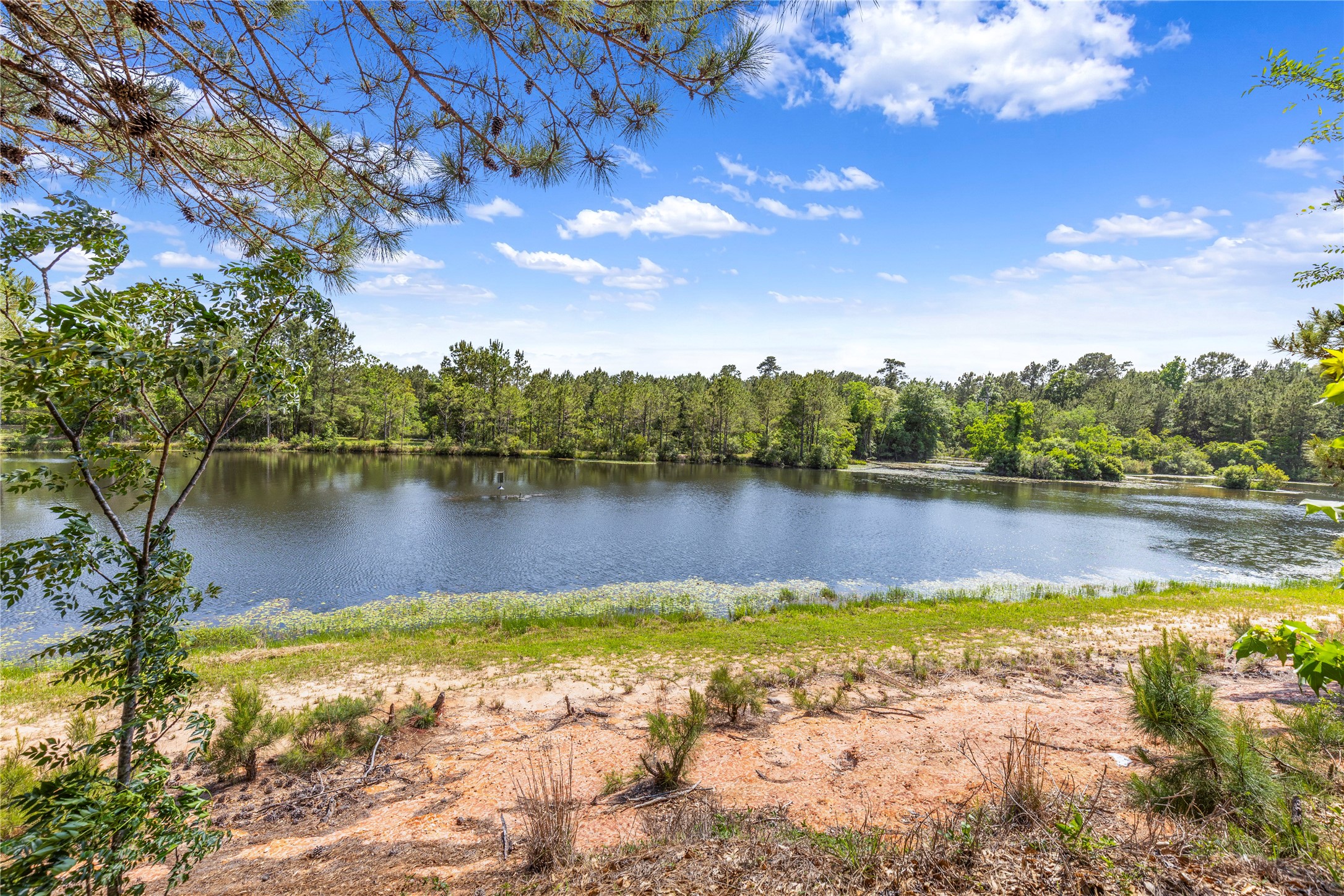 8987 Grand Lake Estates Drive Property Photo 5