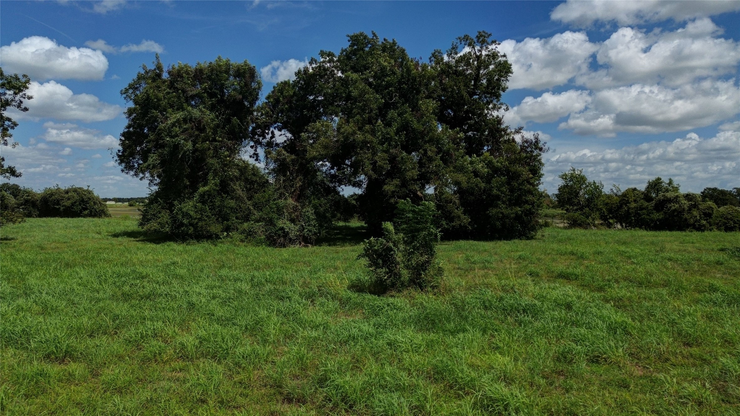 3619 Tankersley Circle Property Photo 7