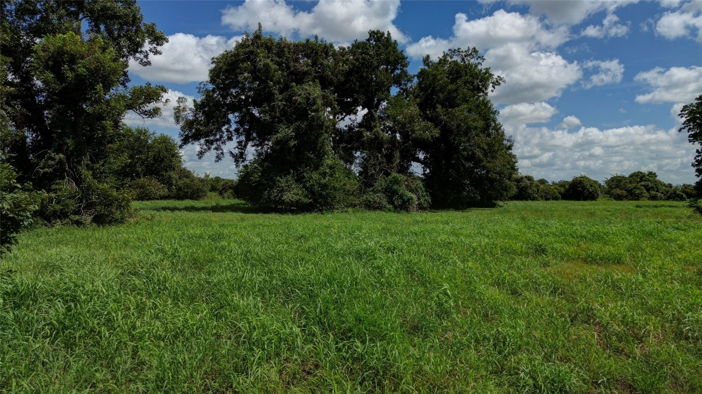 3619 Tankersley Circle Property Photo 8
