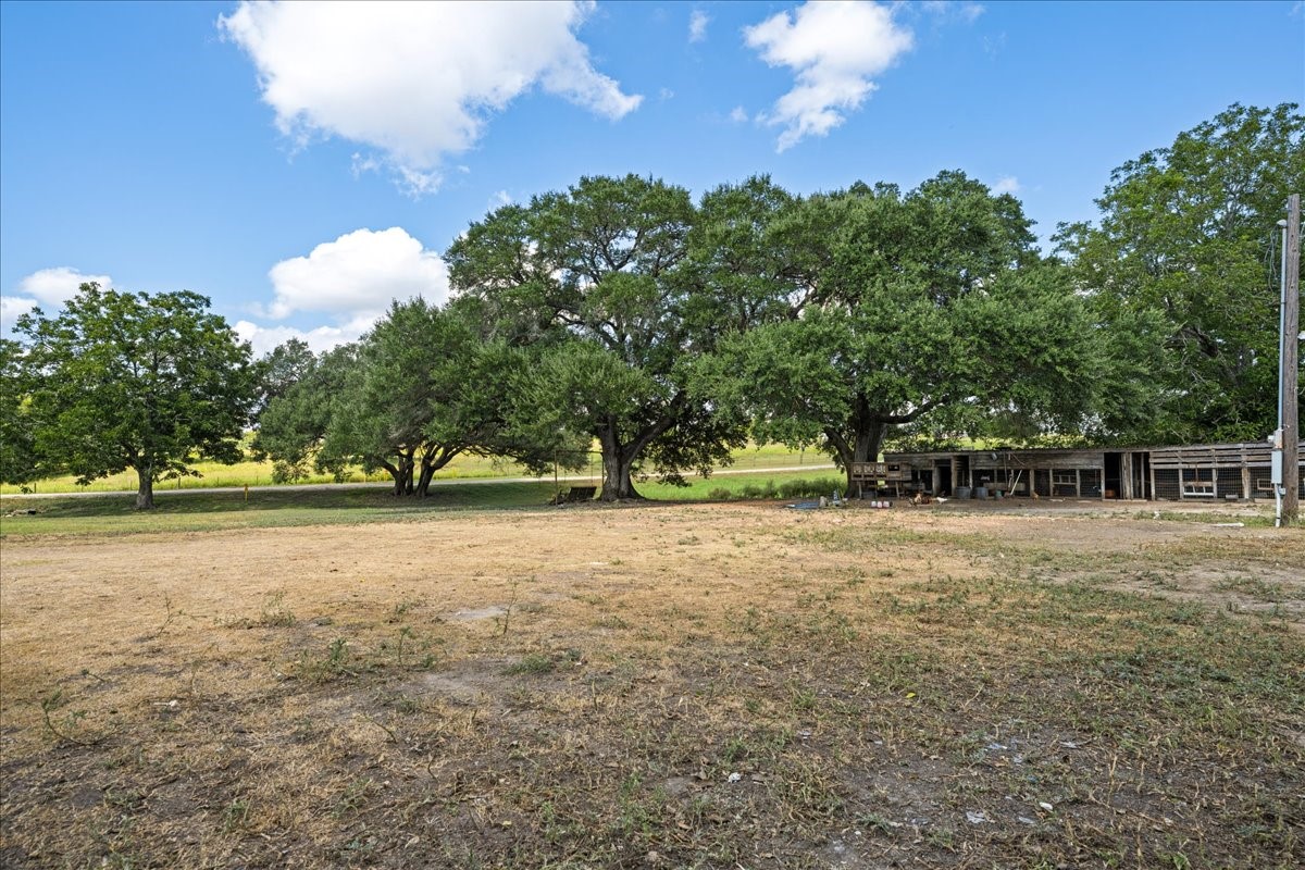 4852 Skull Creek Road Property Photo 9