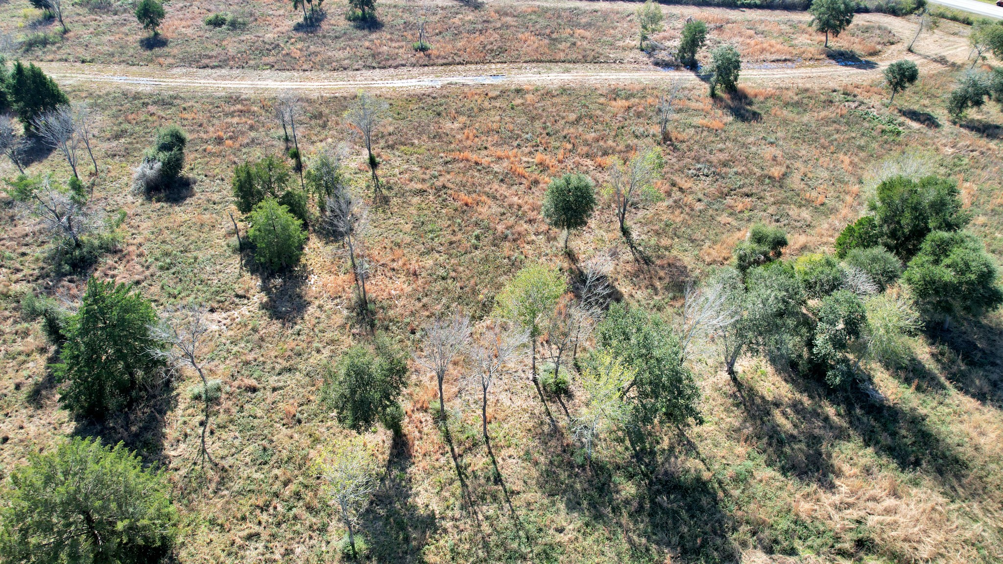 10 Fm 2403 Property Photo 9