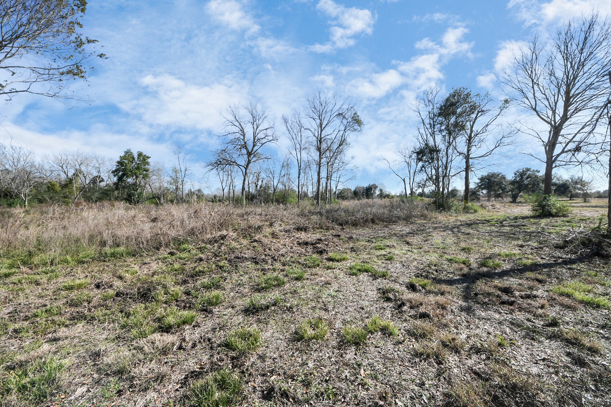 10 Fm 2403 Property Photo 22