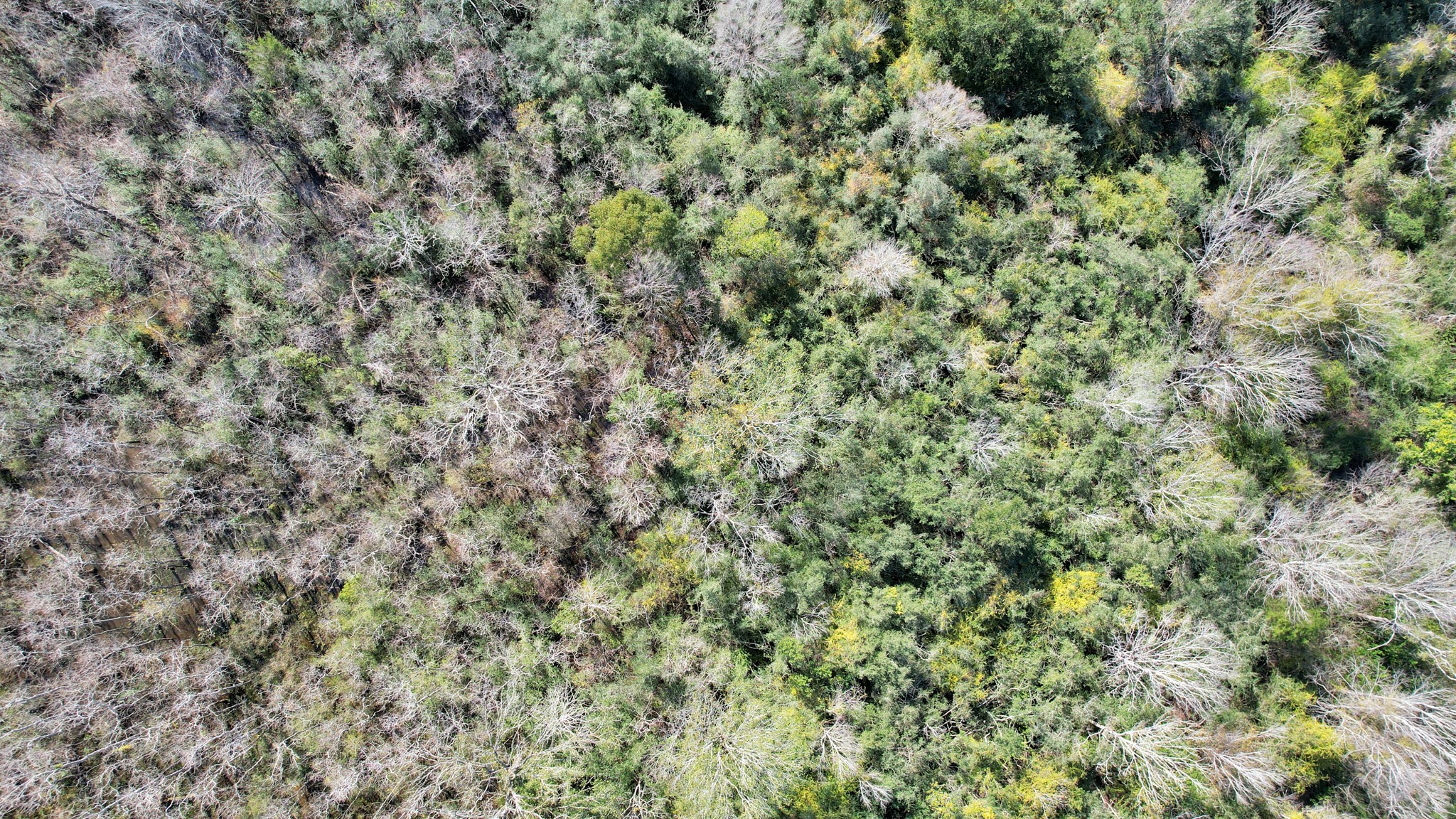 10 Fm 2403 Property Photo 28