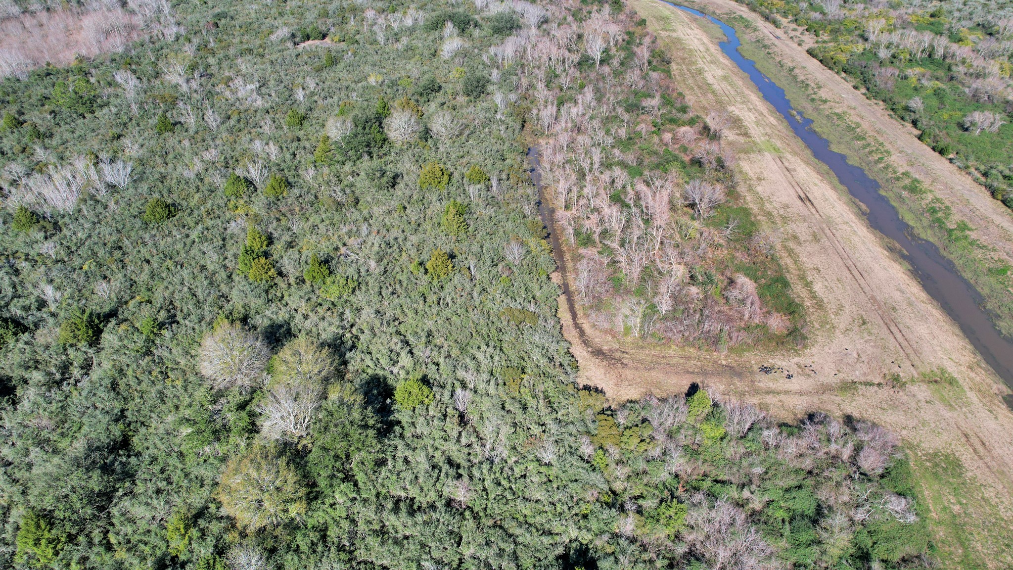 10 Fm 2403 Property Photo 34