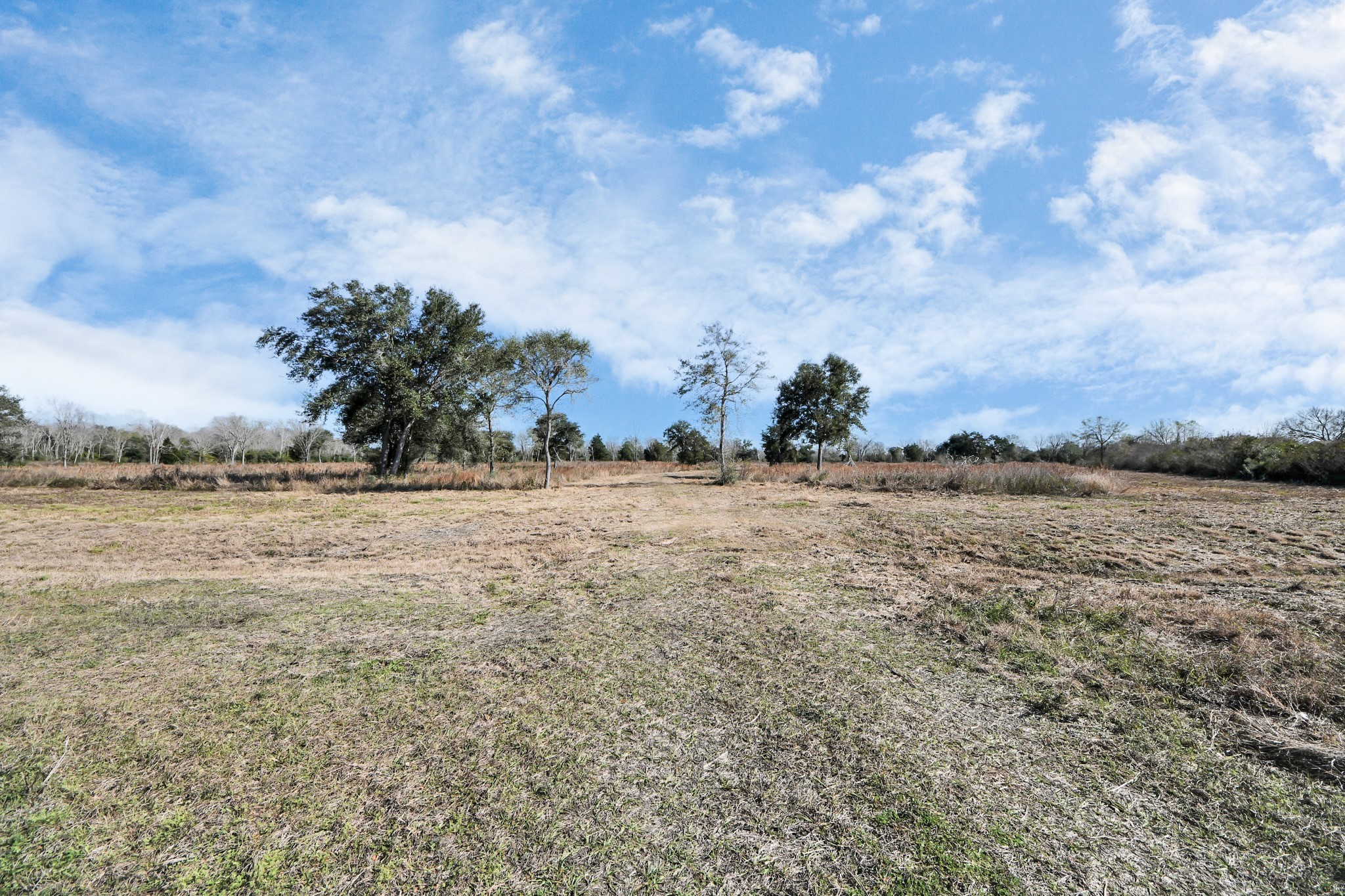 10 Fm 2403 Property Photo 39