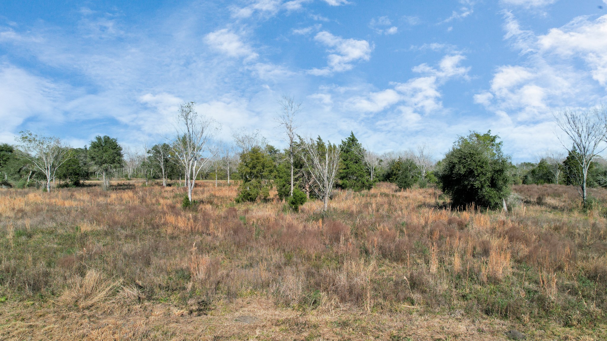 10 Fm 2403 Property Photo 43