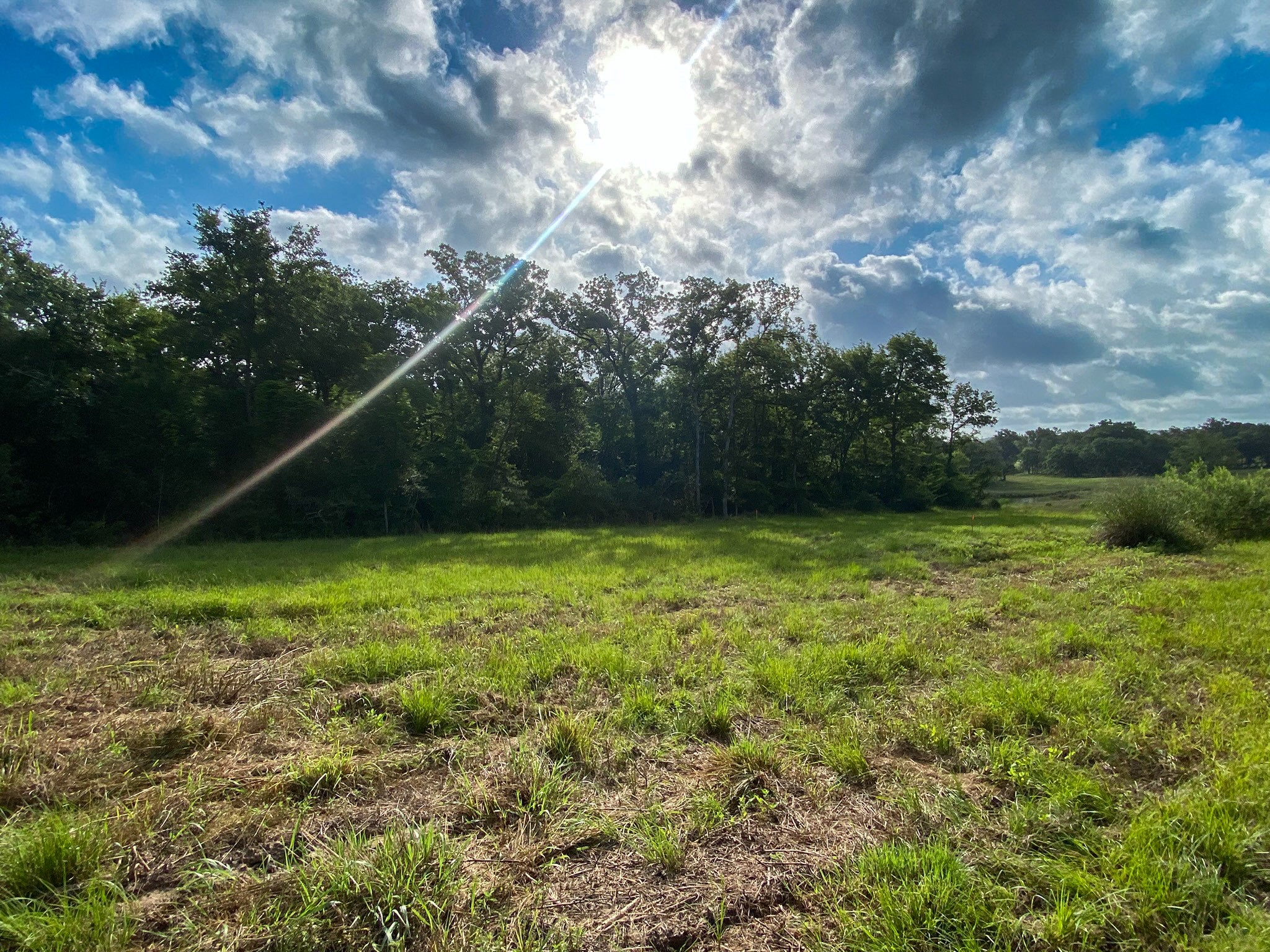4554 County Rd 426 Property Photo 10