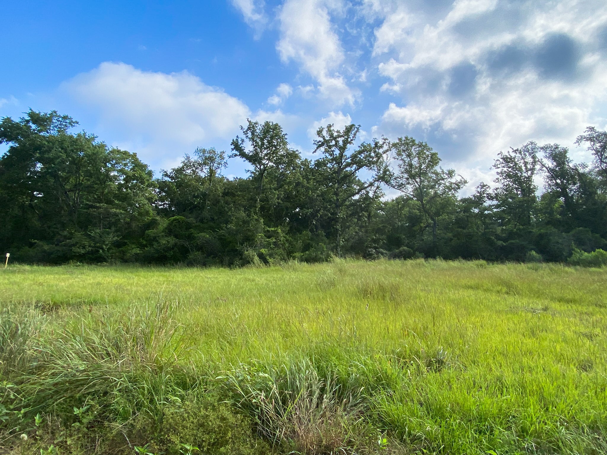 4554 County Rd 426 Property Photo 13
