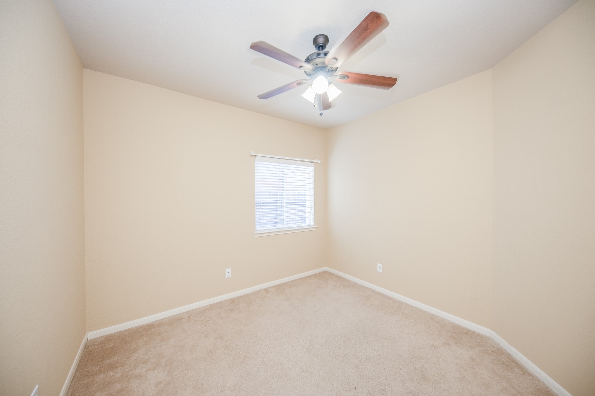 25310 Basil Brook Court Property Photo 24