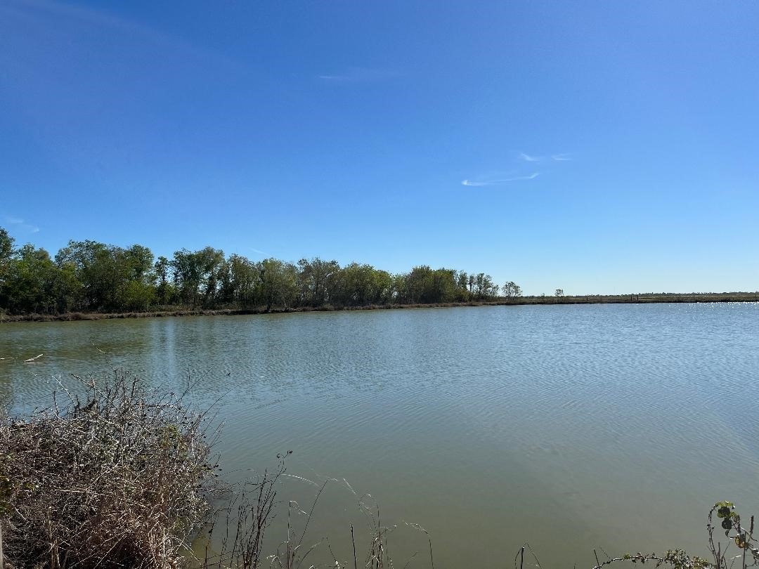 00 Lot 49 Bijou Rue Property Photo 8