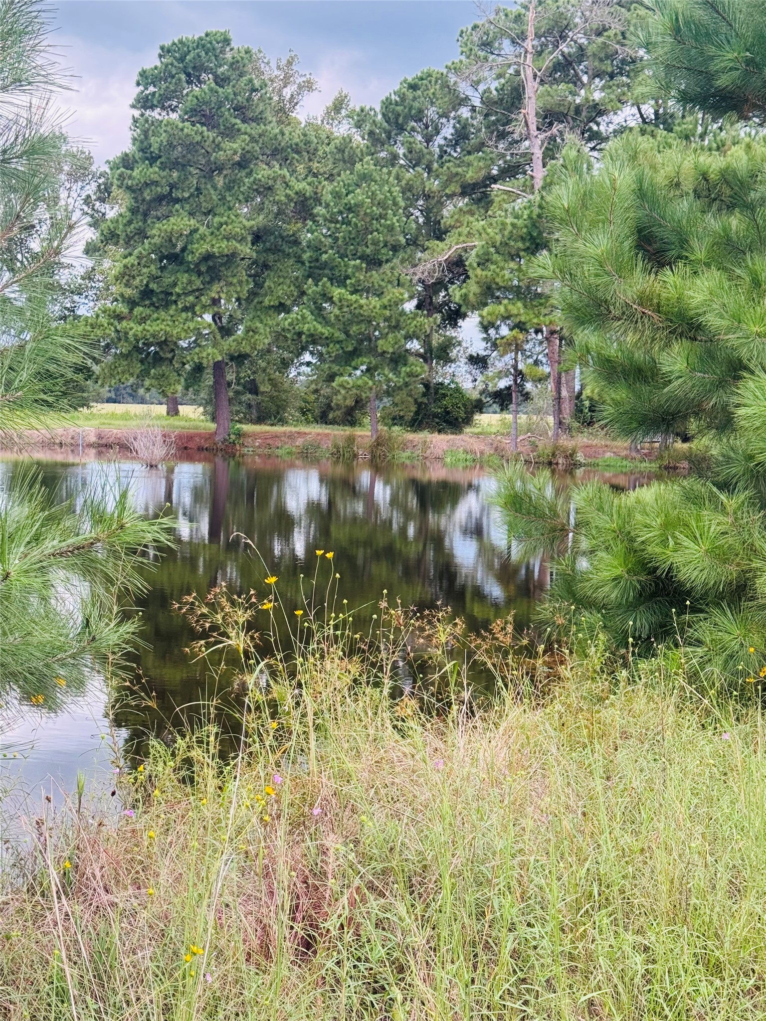Tbd Fm 770 N Property Photo 1