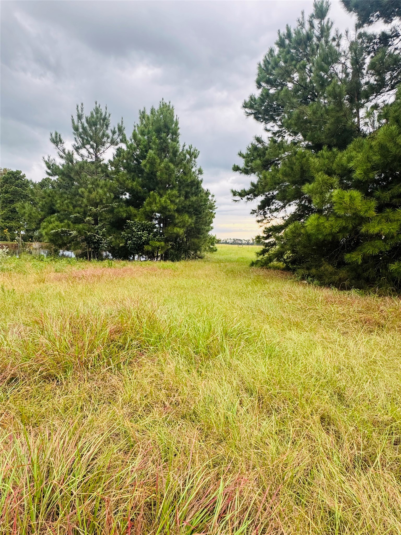 Tbd Fm 770 N Property Photo 2