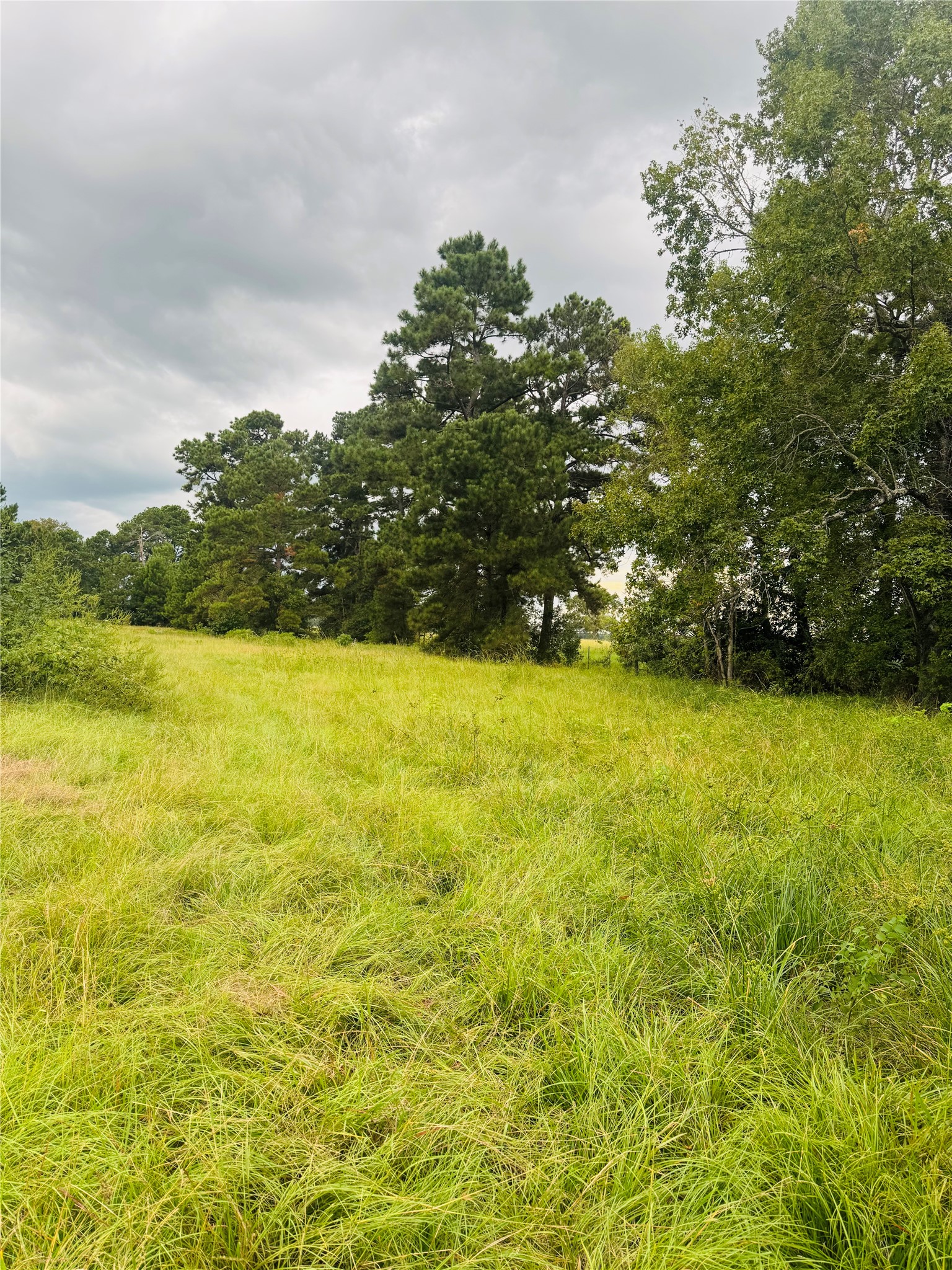 Tbd Fm 770 N Property Photo 3