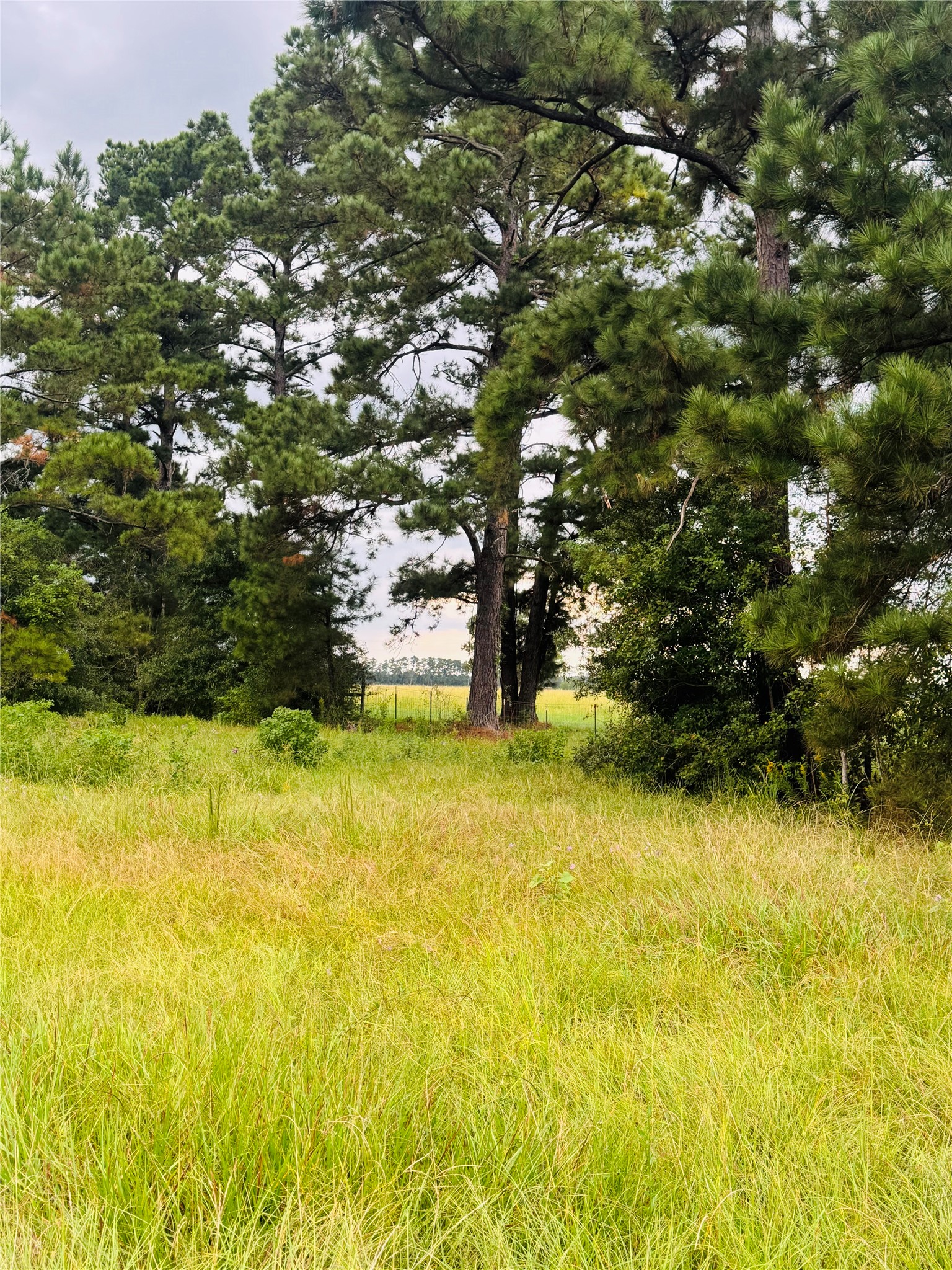 Tbd Fm 770 N Property Photo 6