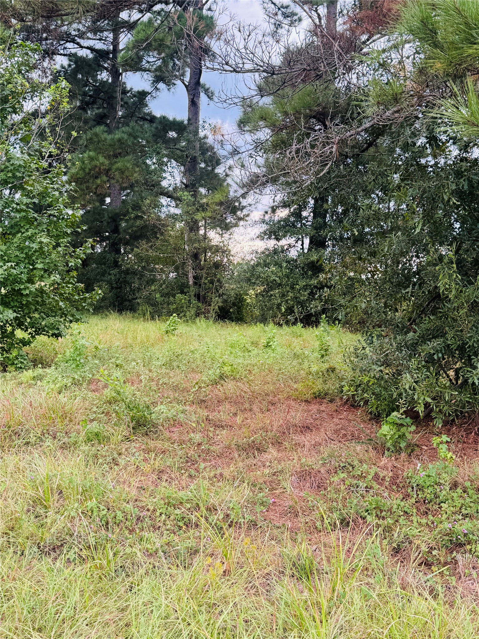 Tbd Fm 770 N Property Photo 8