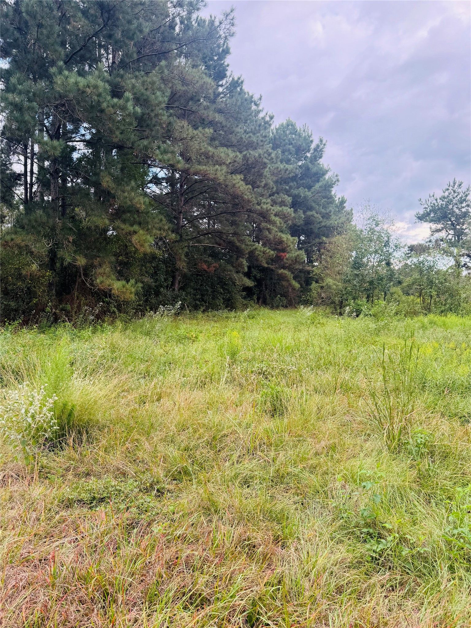 Tbd Fm 770 N Property Photo 9