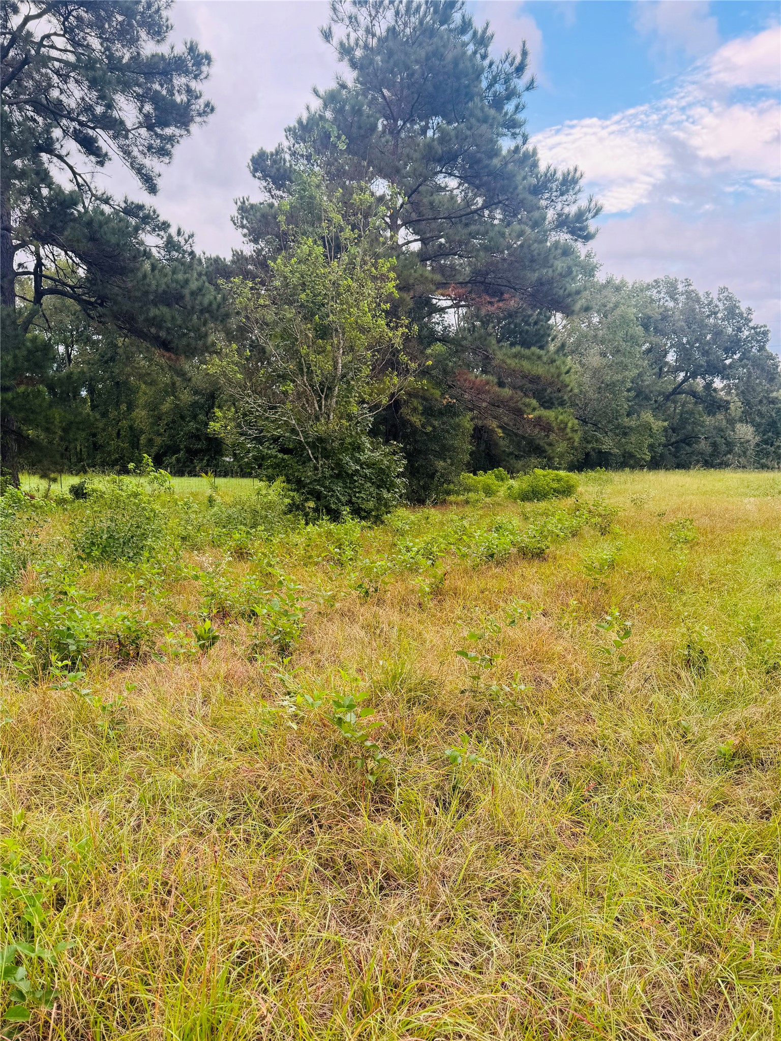 Tbd Fm 770 N Property Photo 10