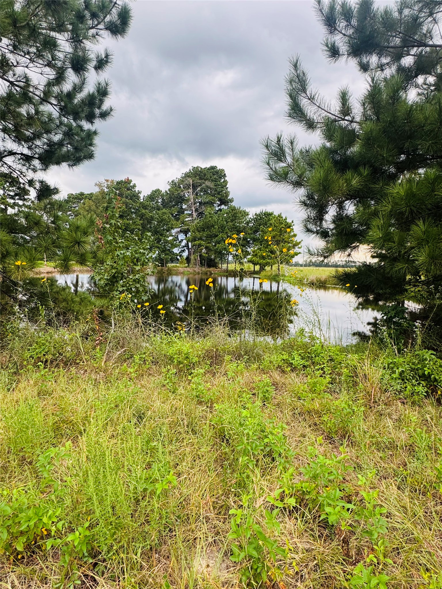 Tbd Fm 770 N Property Photo 11