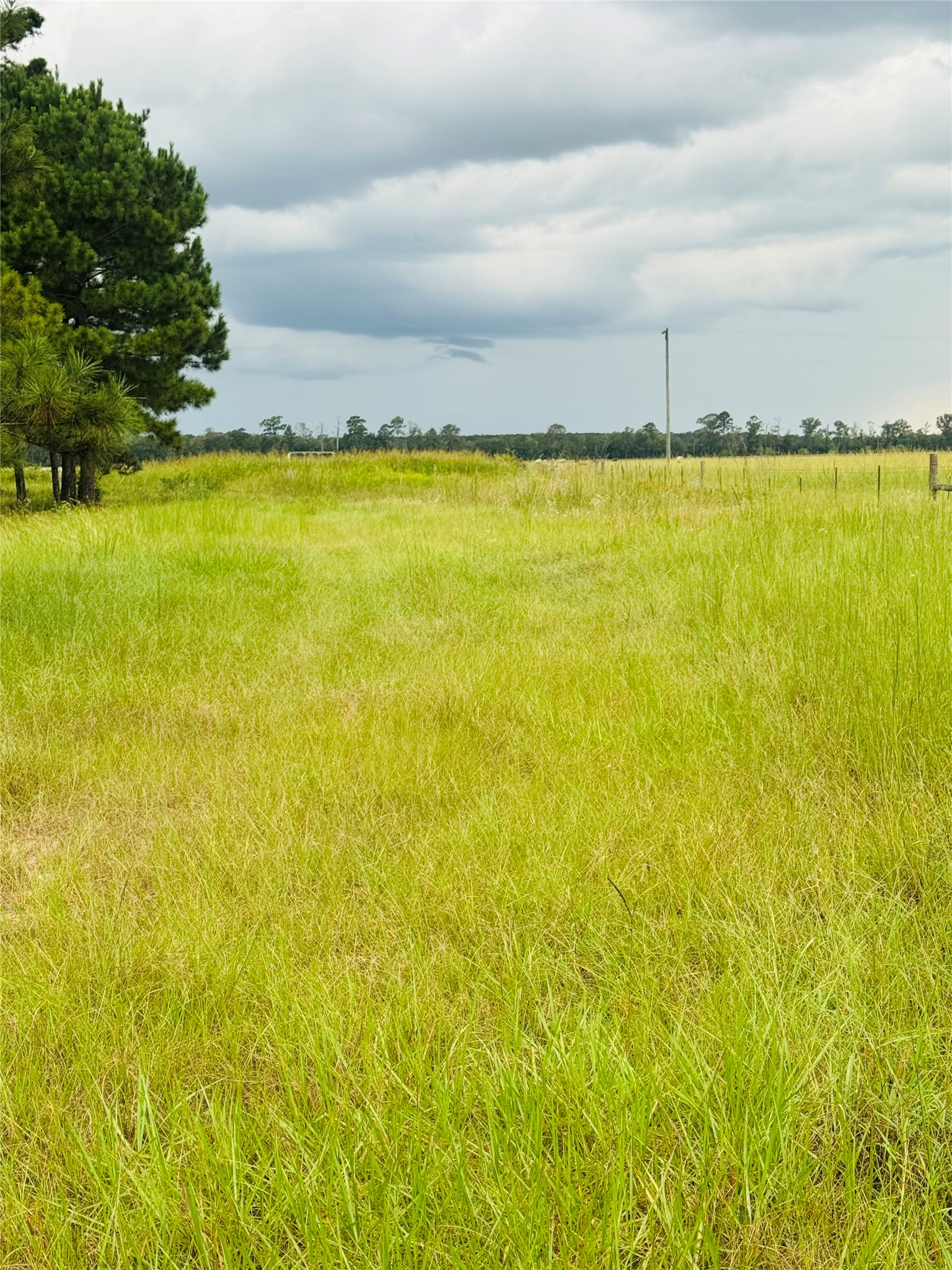Tbd Fm 770 N Property Photo 12