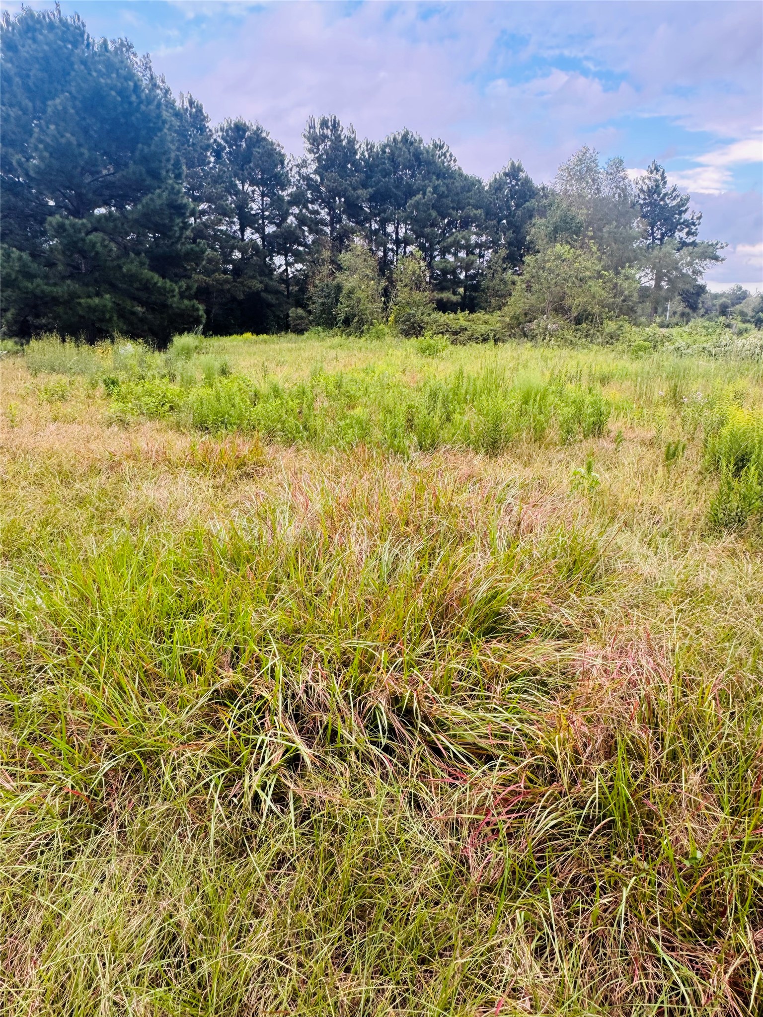 Tbd Fm 770 N Property Photo 13