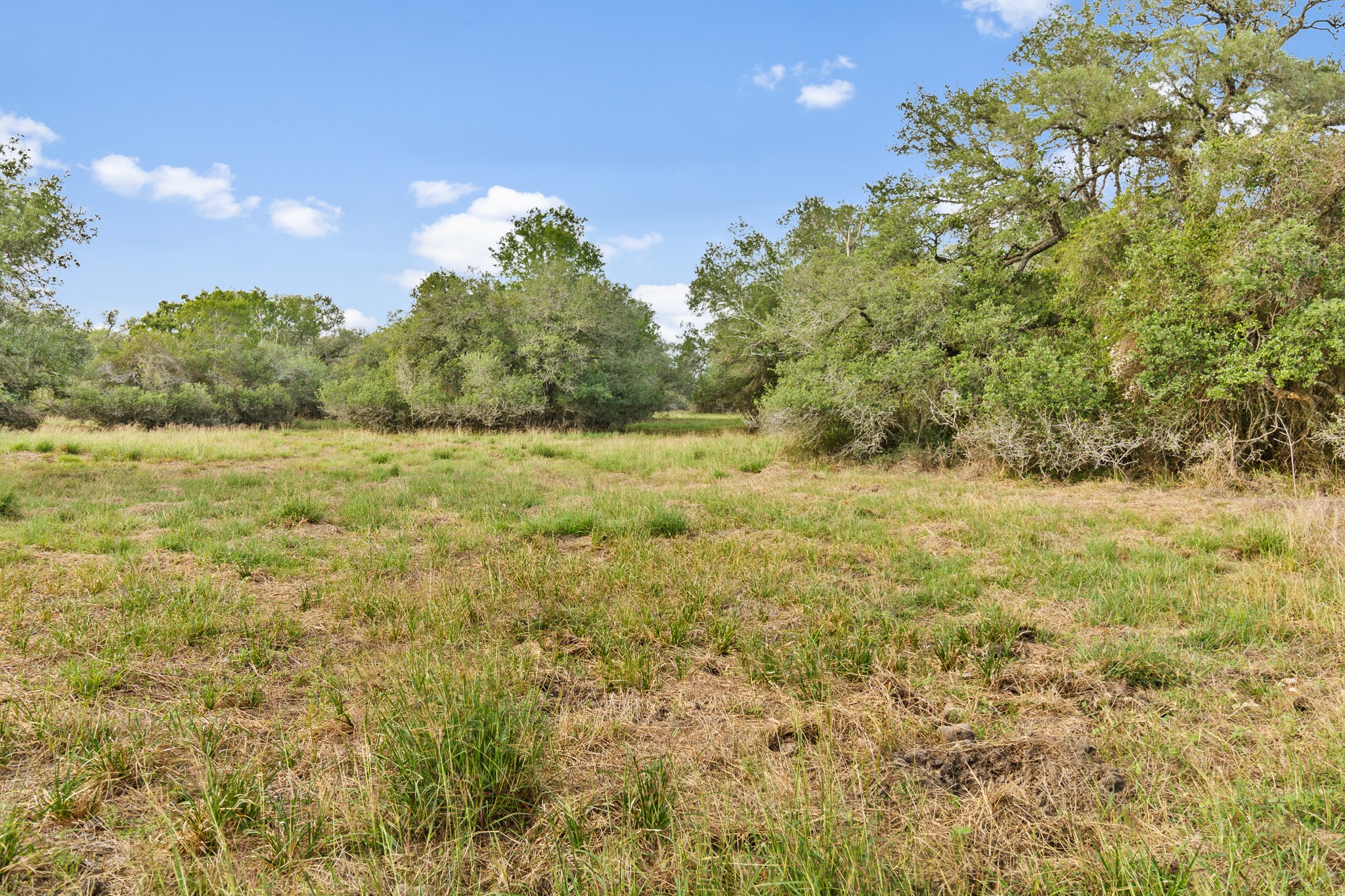 Tract 6 FM 530 Property Photo 1